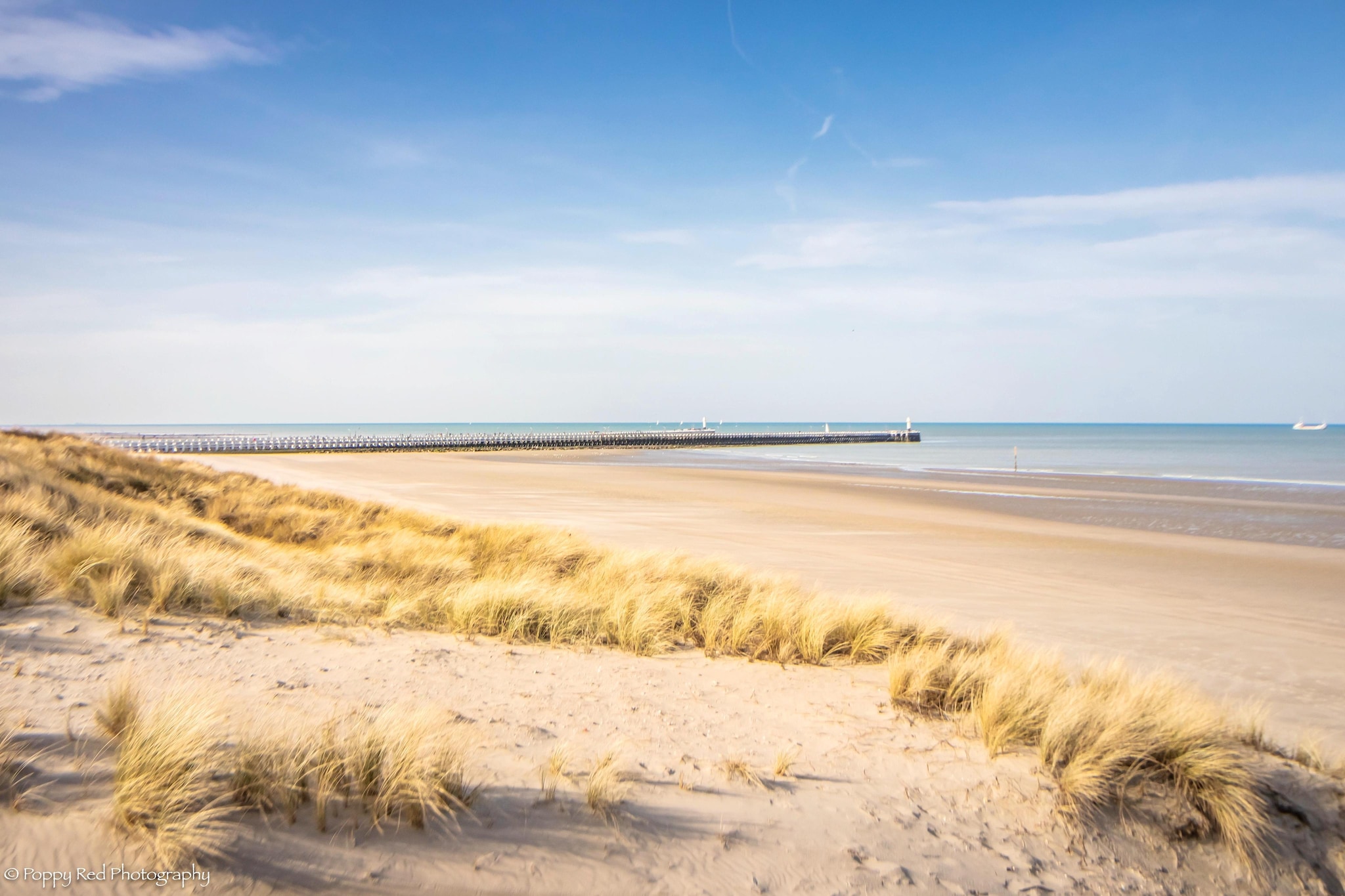 PANORAMA B / 0202-Gebieden zomer 5km