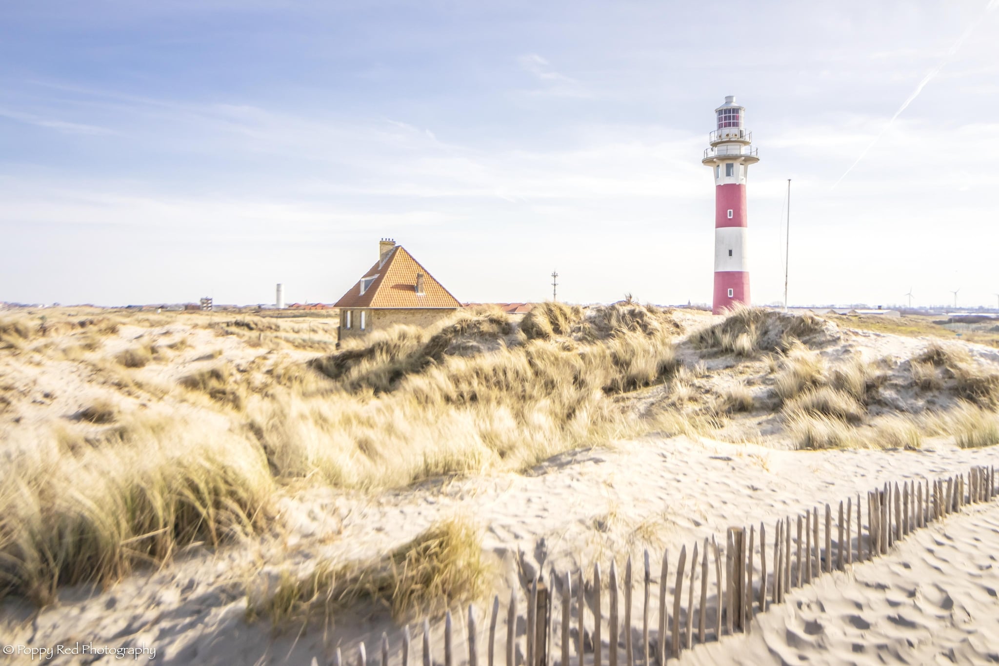 SEASIGHT A 0303GAR-Gebieden zomer 5km