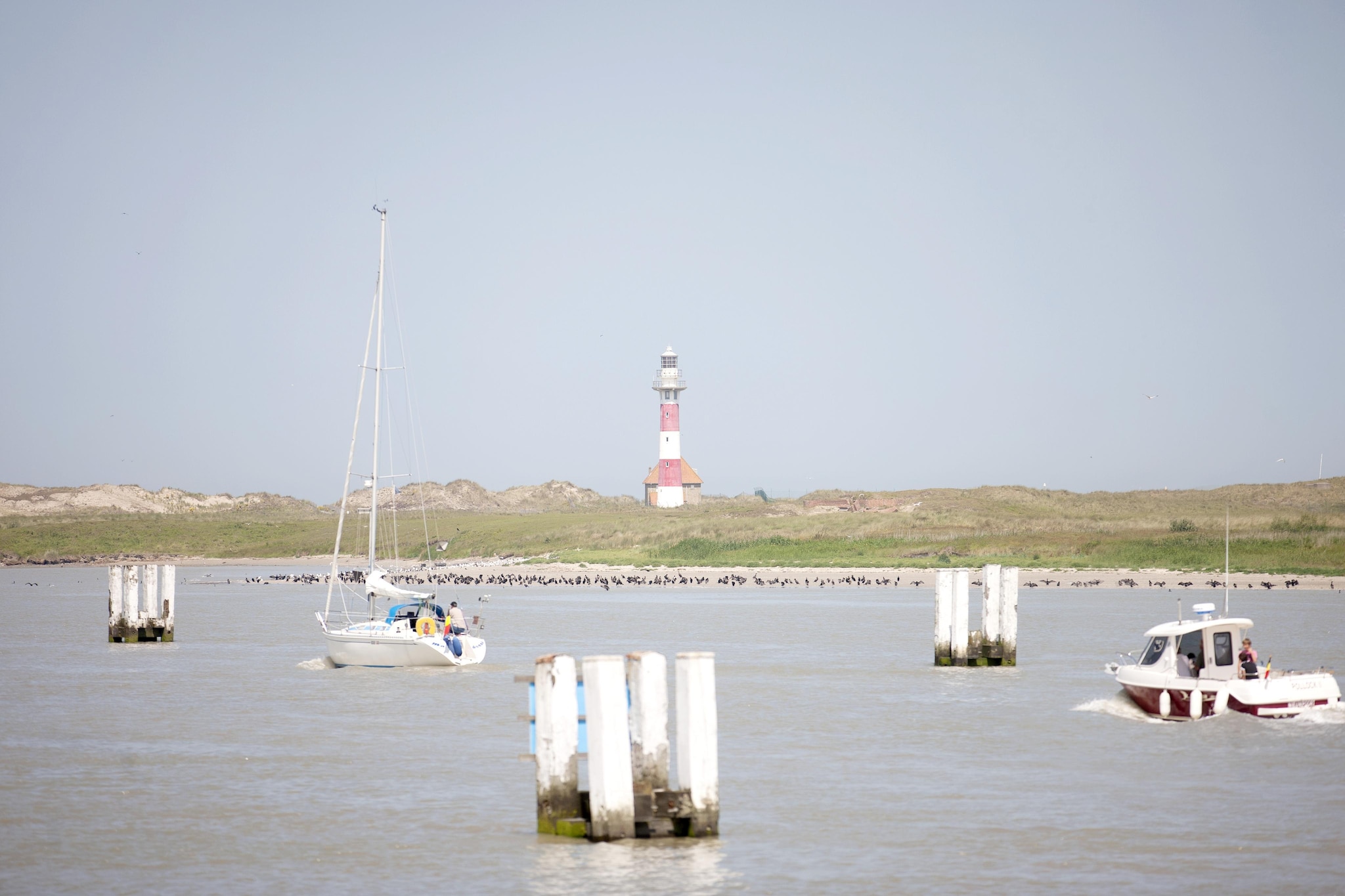 SEASIGHT BC C1401GAR-Gebieden zomer 20km