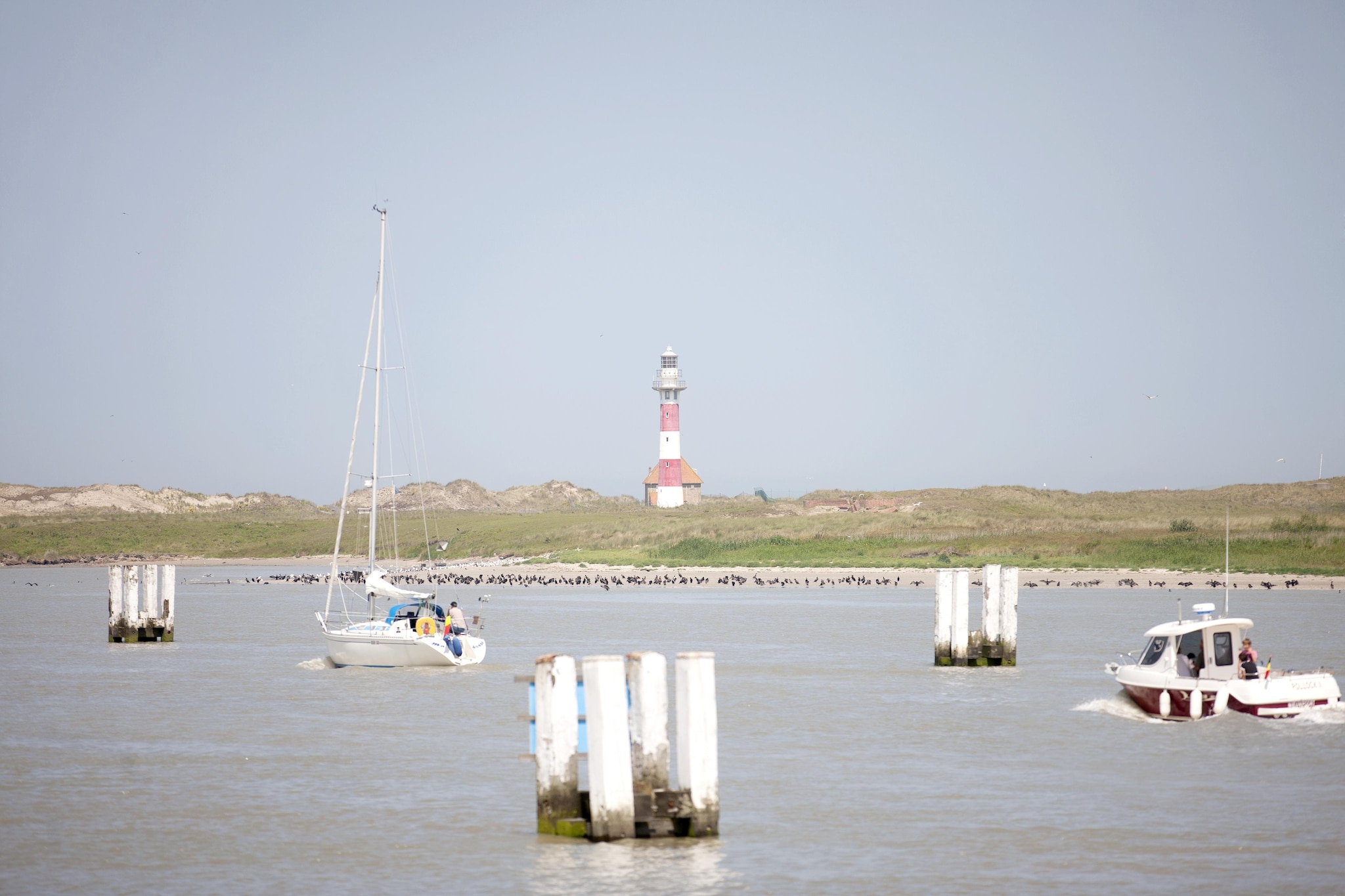 VIKING 501-Gebieden zomer 20km