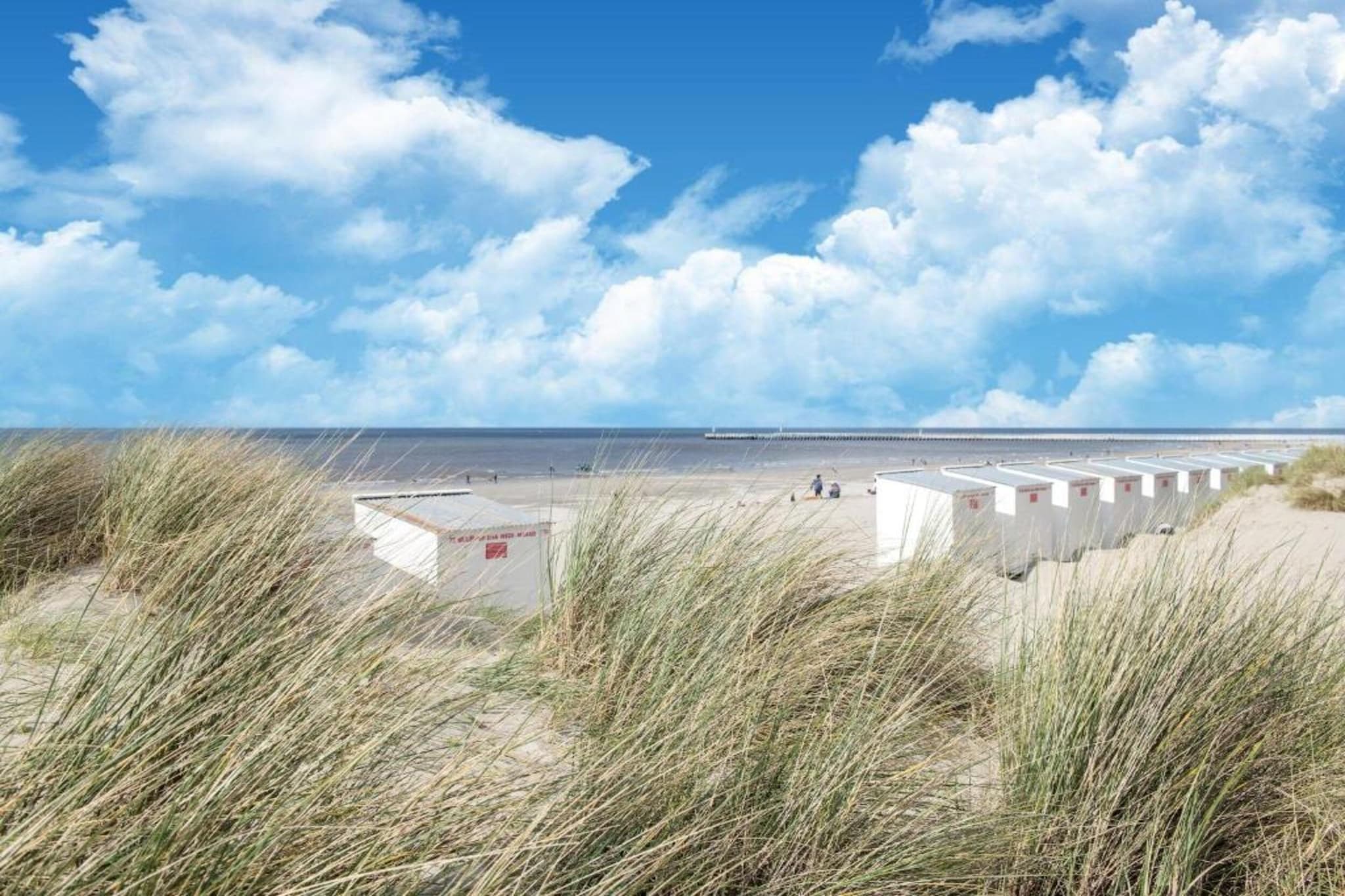 PLAZA G/2634-Gebieden zomer 5km