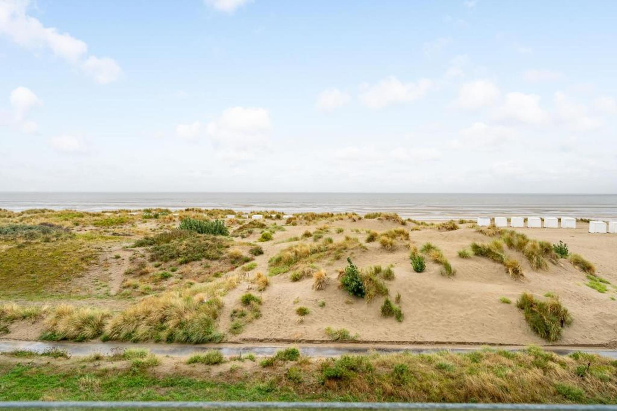 PLAZA A1/A1A12-Gebieden zomer 5km