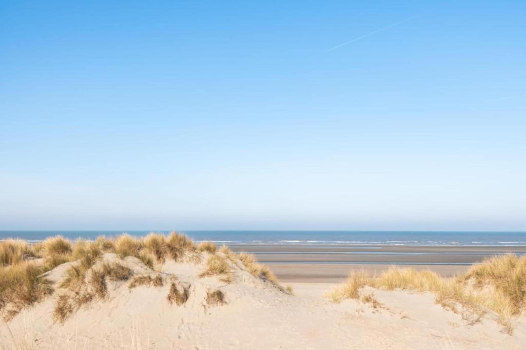 STTROP/STTRO201-Gebieden zomer 5km