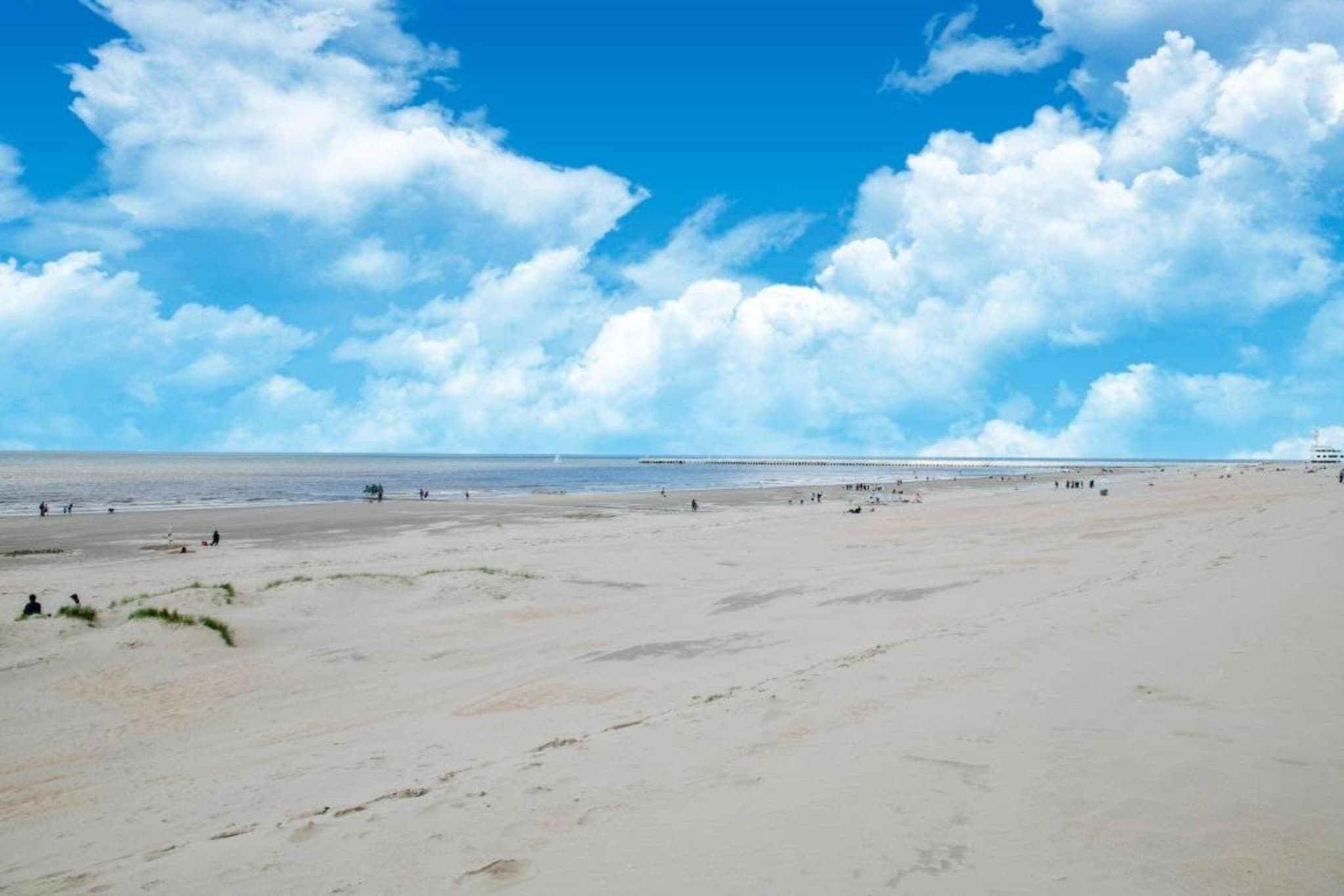 VILLA CO/VILLA CO-Gebieden zomer 5km