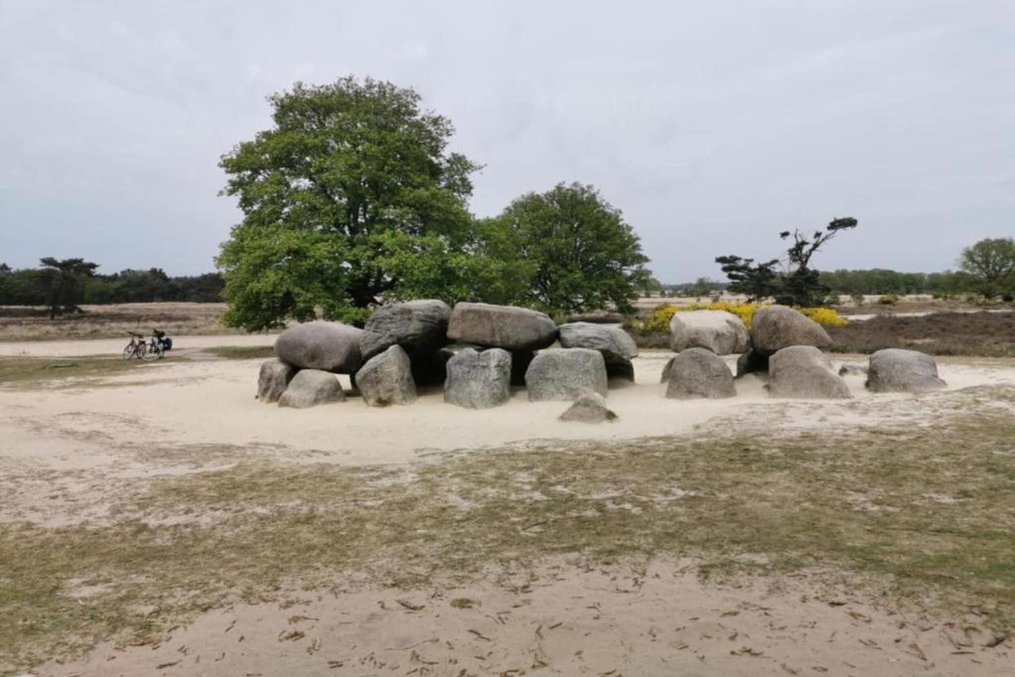 't Landgoed Baars 1-Areas summer 20km