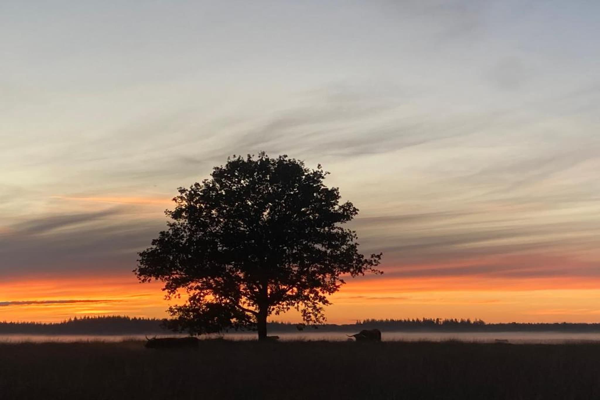't Landgoed Baars 4-Areas summer 20km
