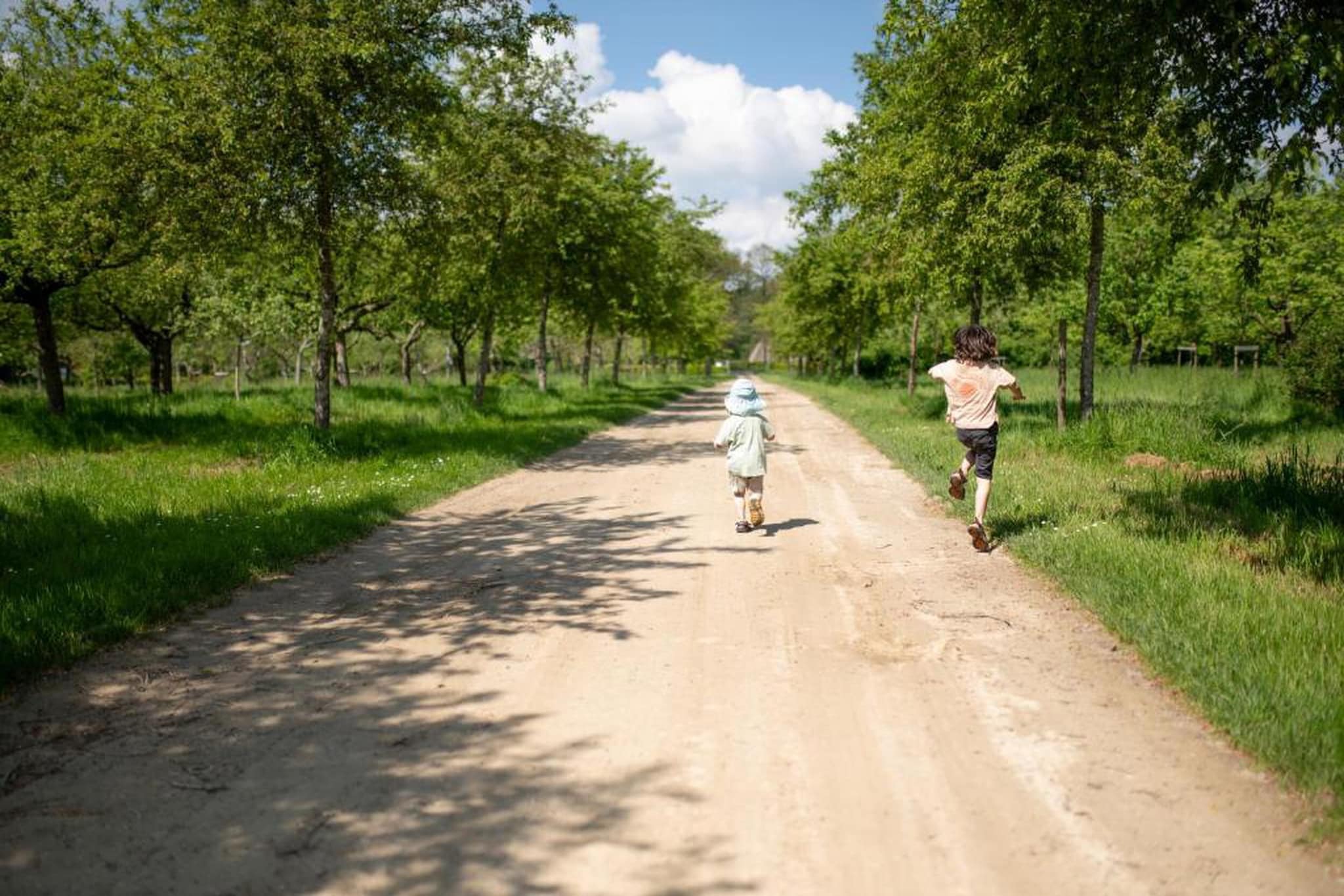't Landgoed Baars 4-Areas summer 20km