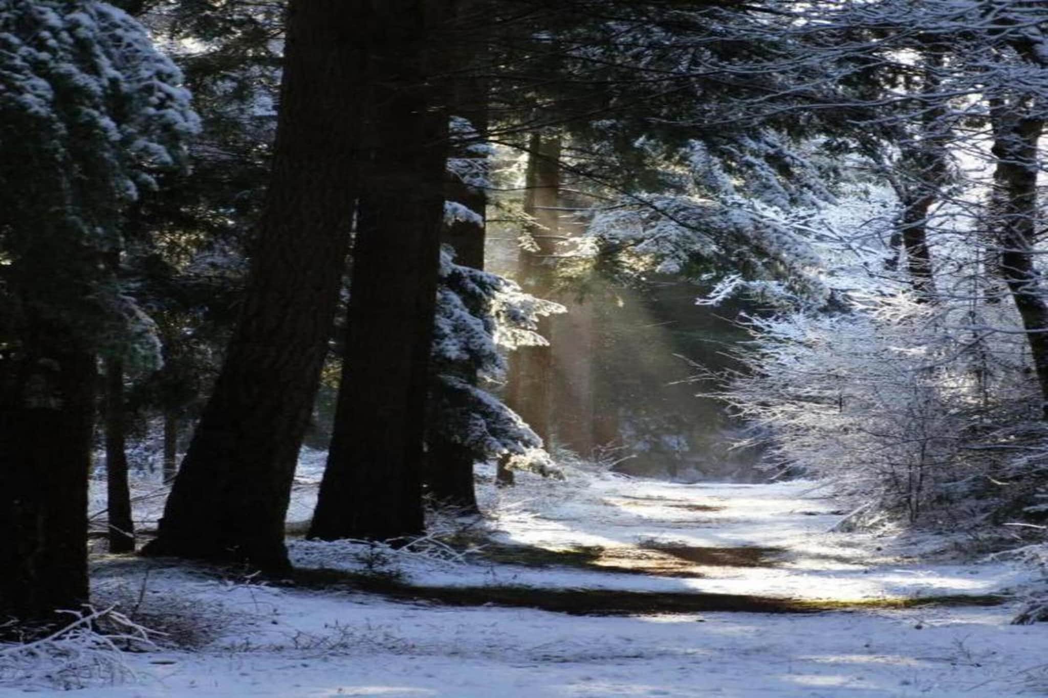 't Landgoed Baars 4-Area winter 20km
