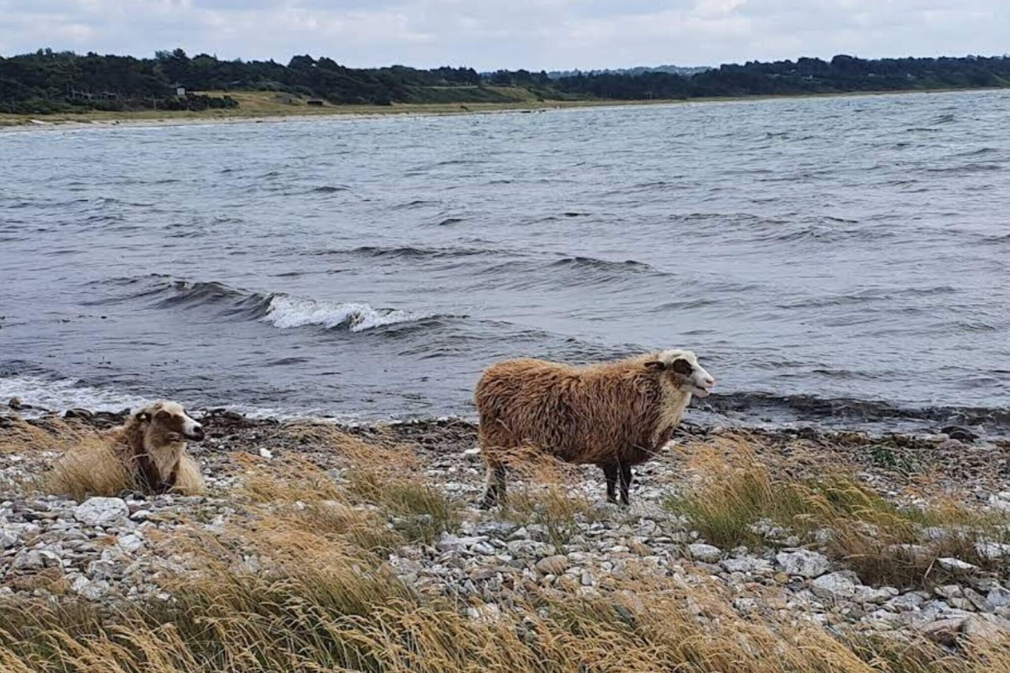 4 person holiday home in Grevinge-By Traum-Water view