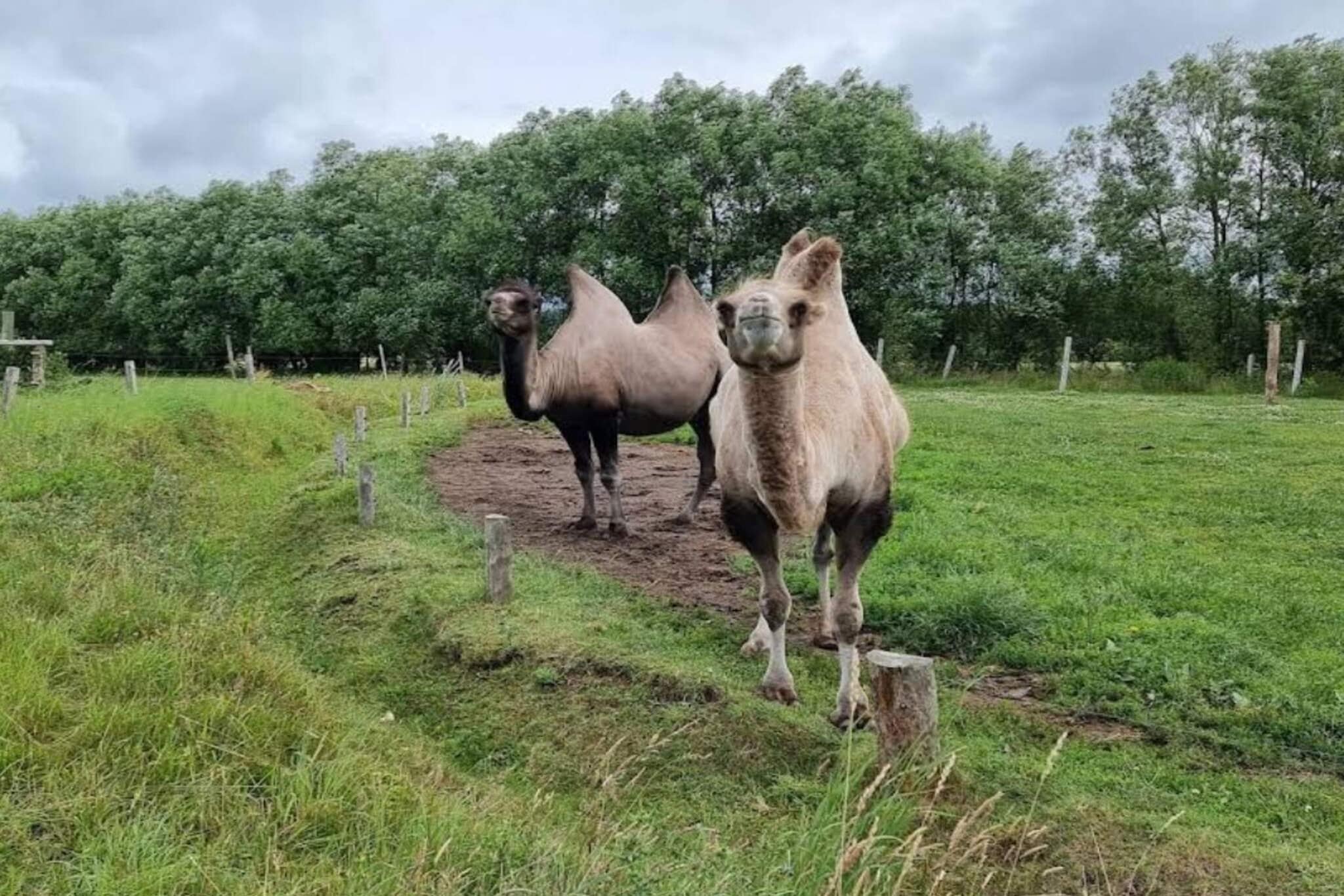4 persoons vakantie huis in Grevinge-By Traum - Niet-getagd