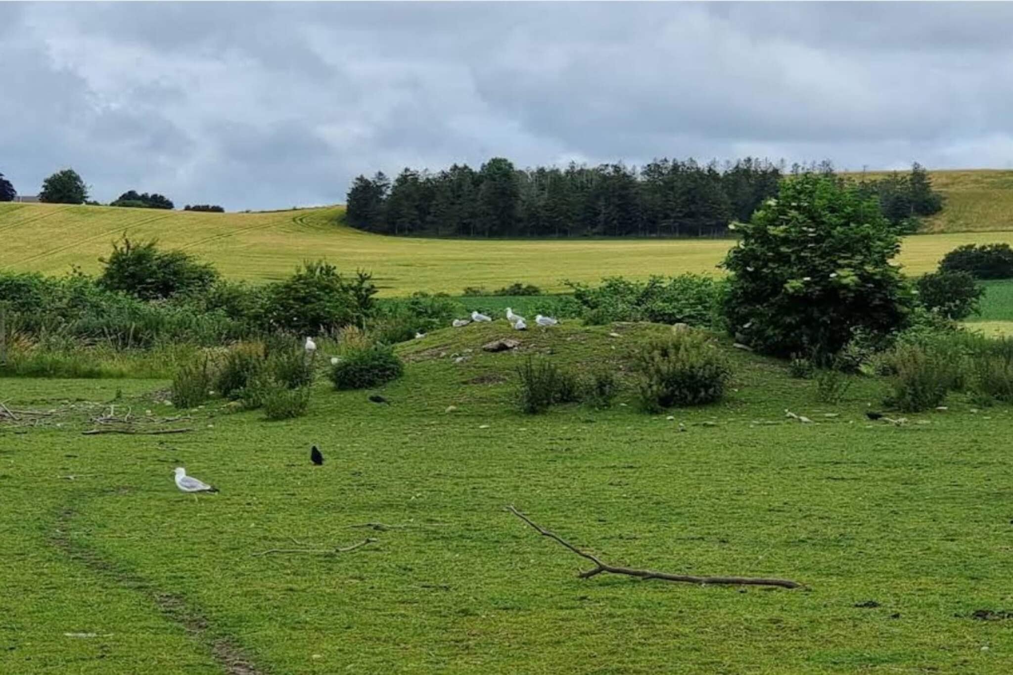 4 persoons vakantie huis in Grevinge-By Traum - Niet-getagd