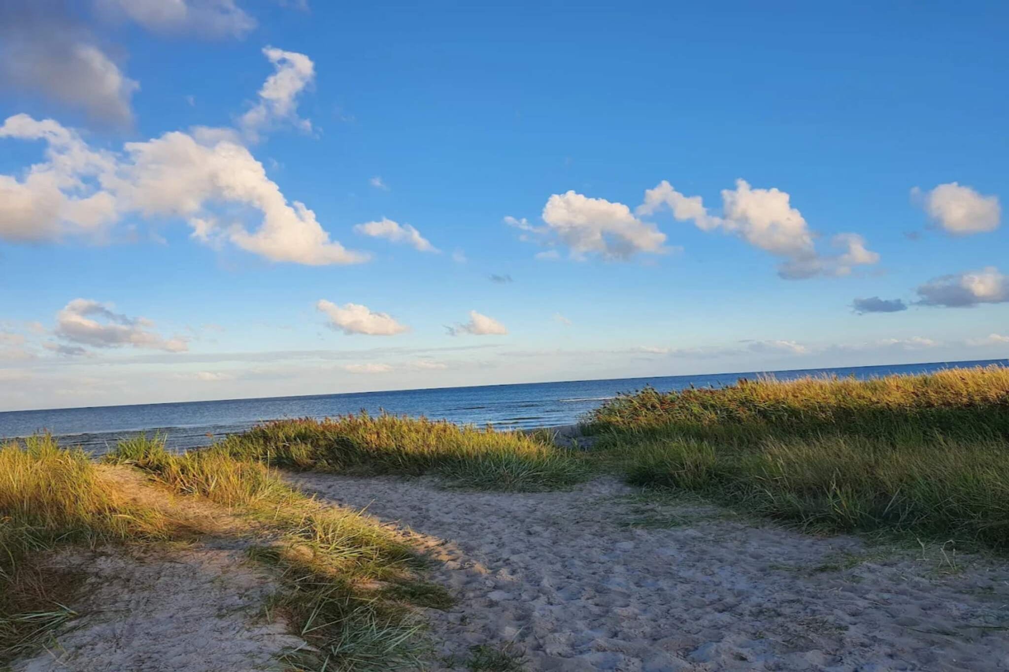 5 persoons vakantie huis in Hals-By Traum - Waterzicht