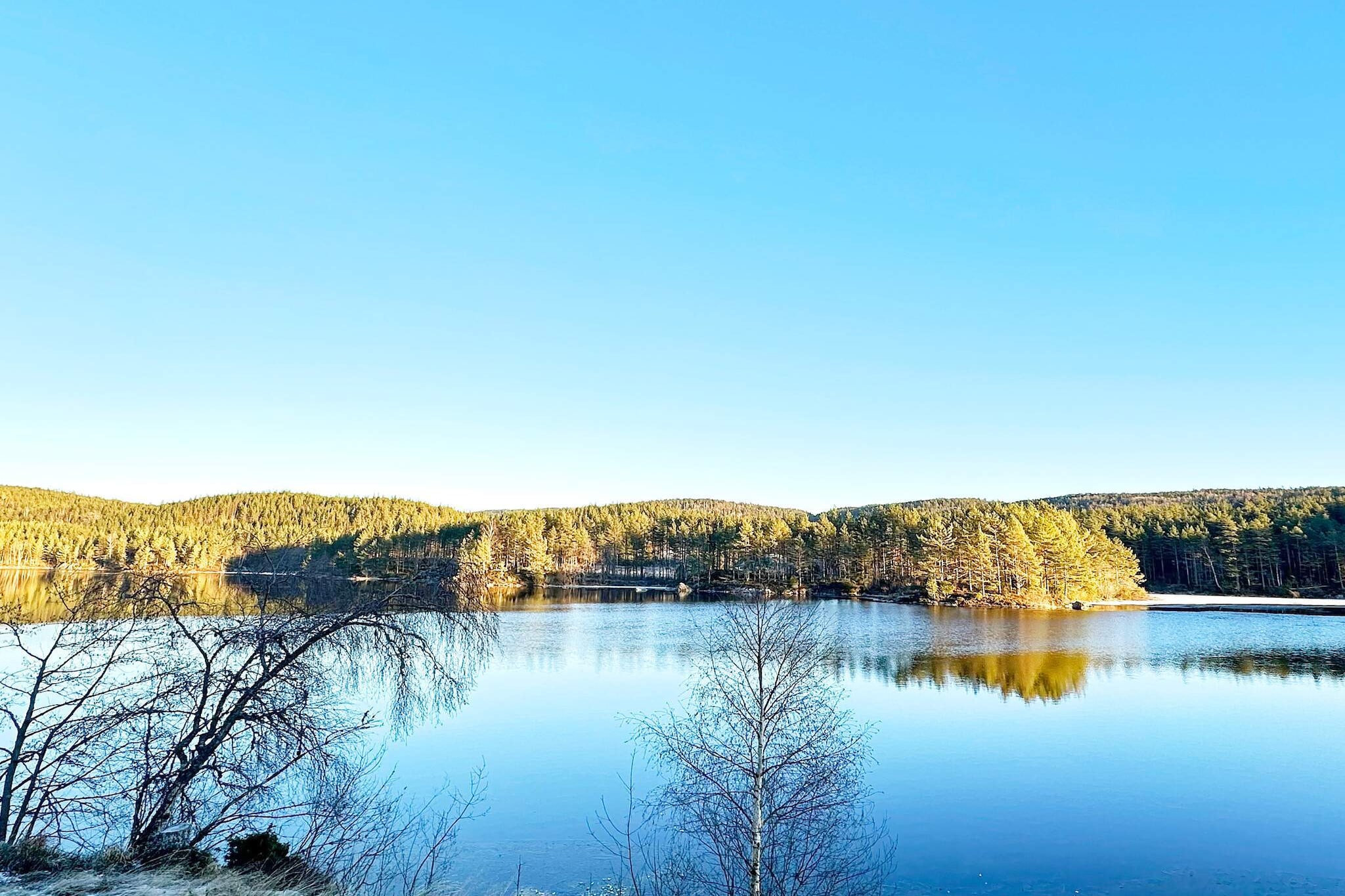 6 Personen Ferienhaus in Hornnes-By Traum - Im Freien