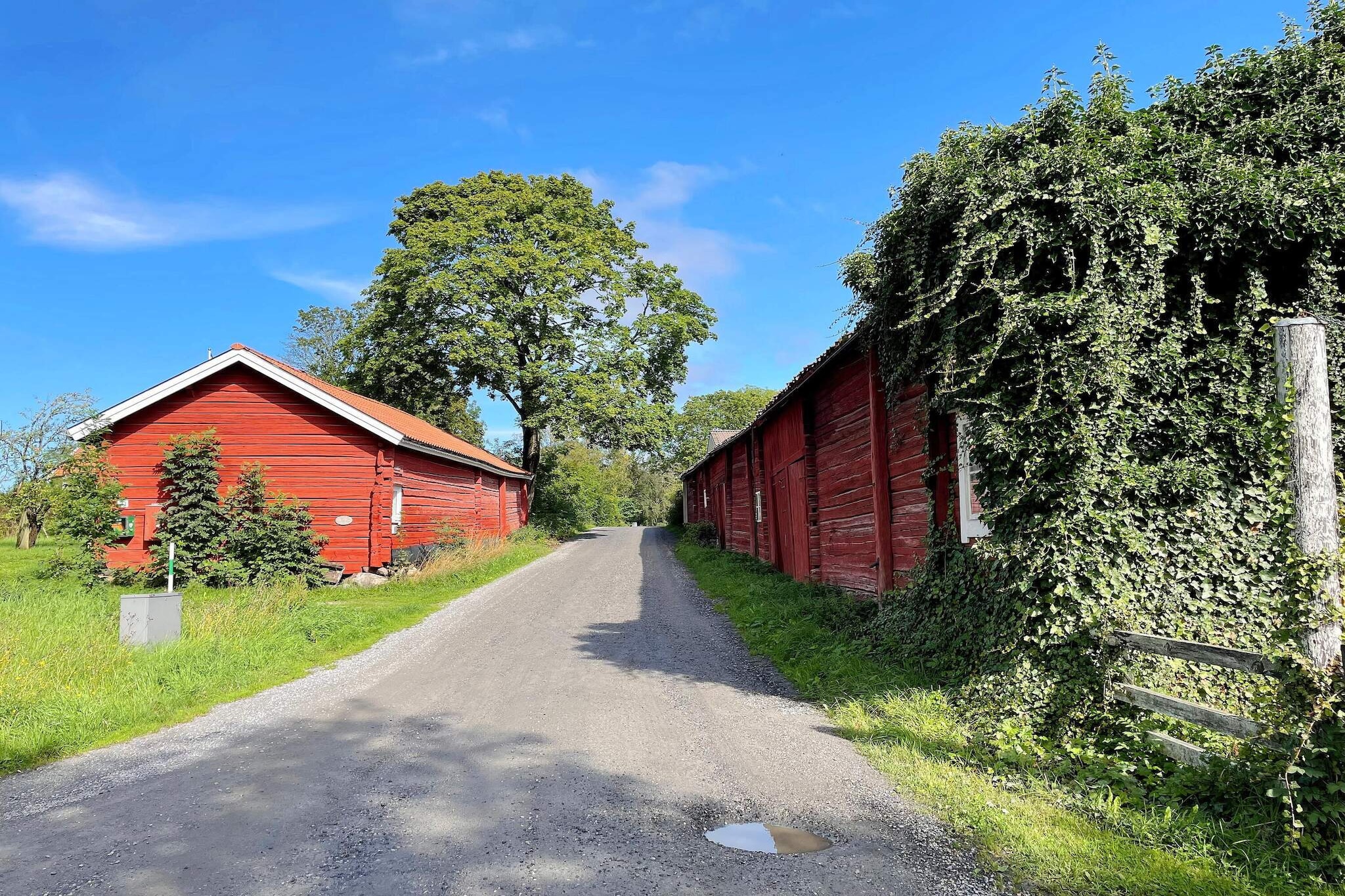 4 persoons vakantie huis in BJÖRKÖ-By Traum-Buitenlucht