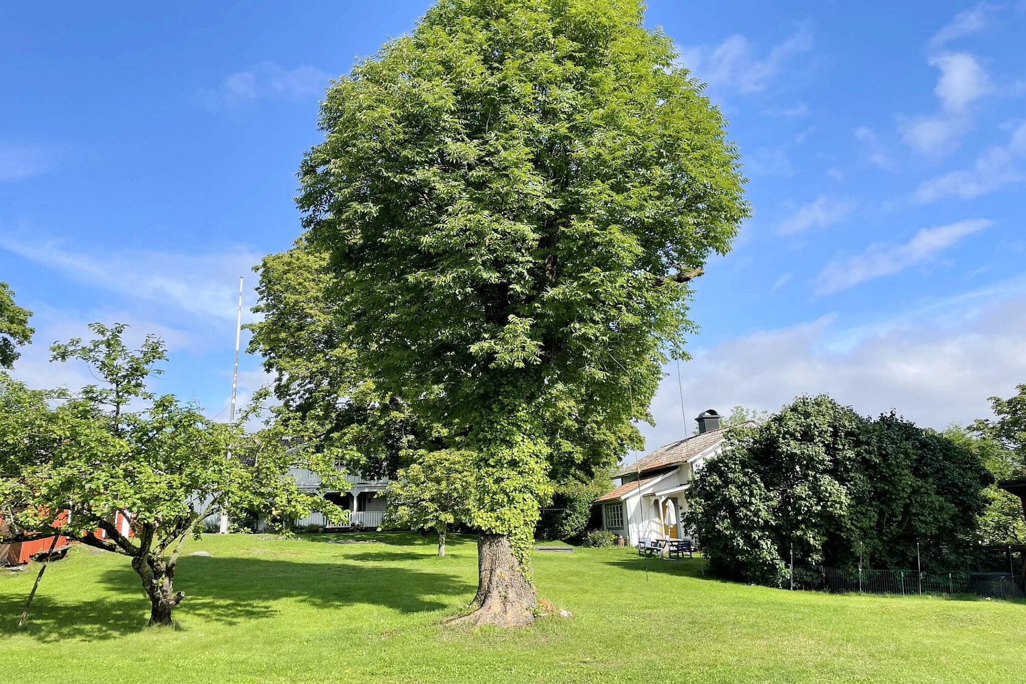 4 persoons vakantie huis in BJÖRKÖ-By Traum-Buitenlucht