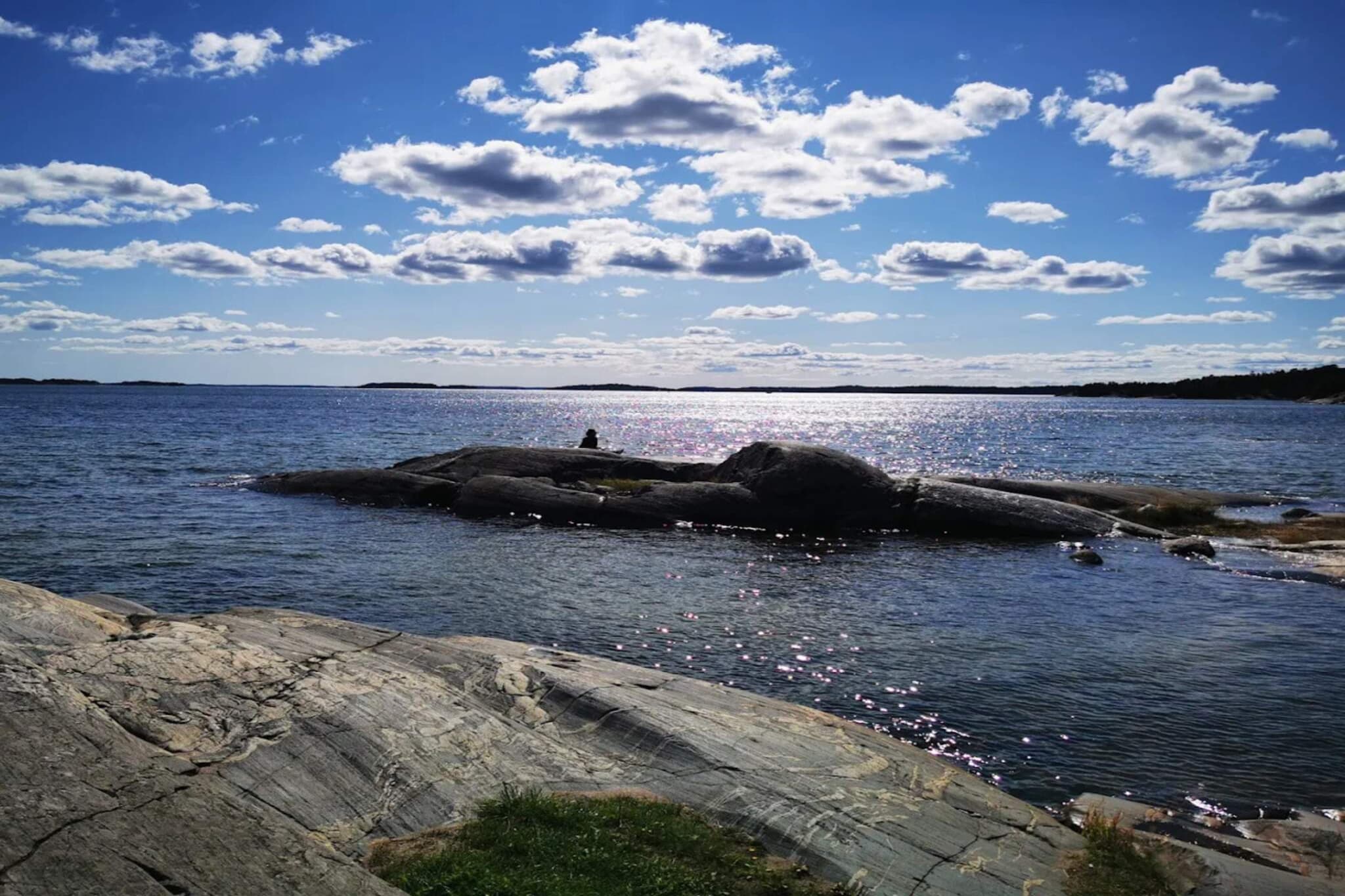 Water View