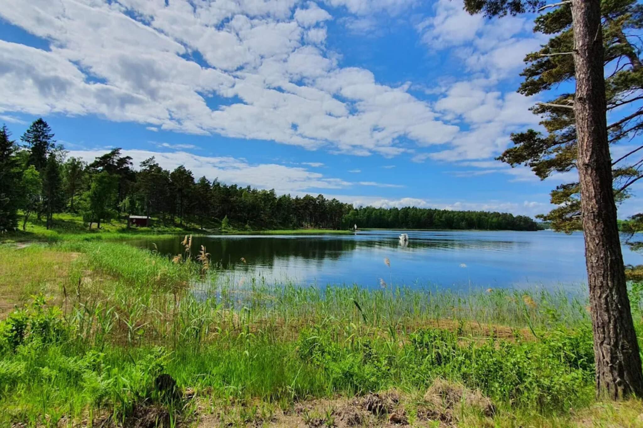 Water View