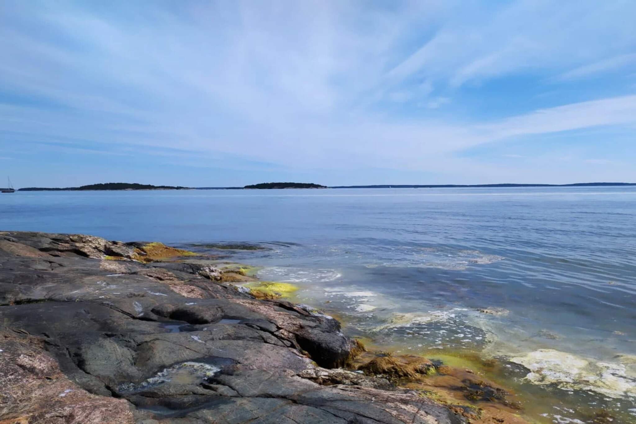 Water View