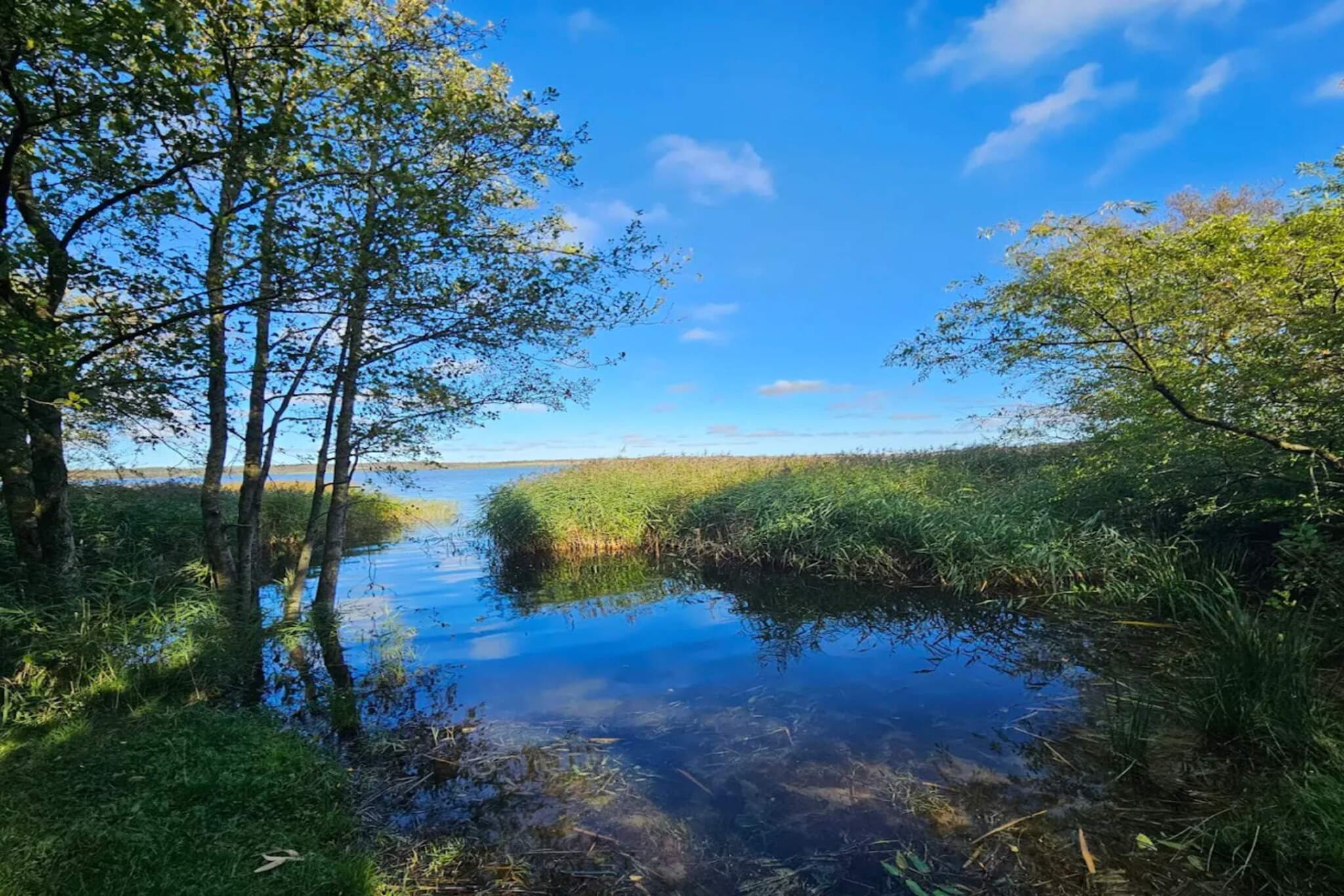4 Sterne Ferienhaus in Thisted-By Traum-Wasserblick