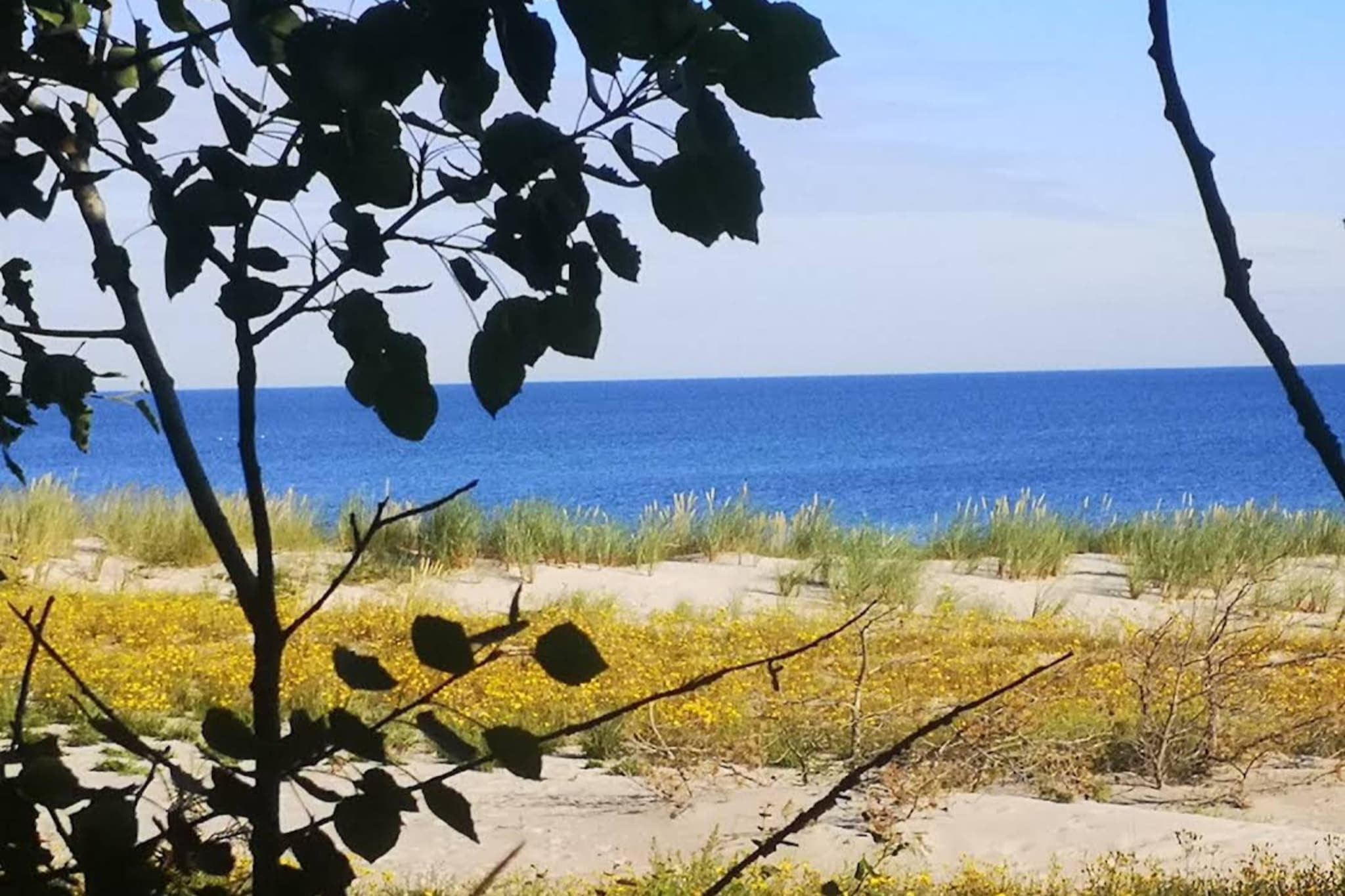 Nr4 Müritzsee 2 Personen-Gebieden zomer 5km