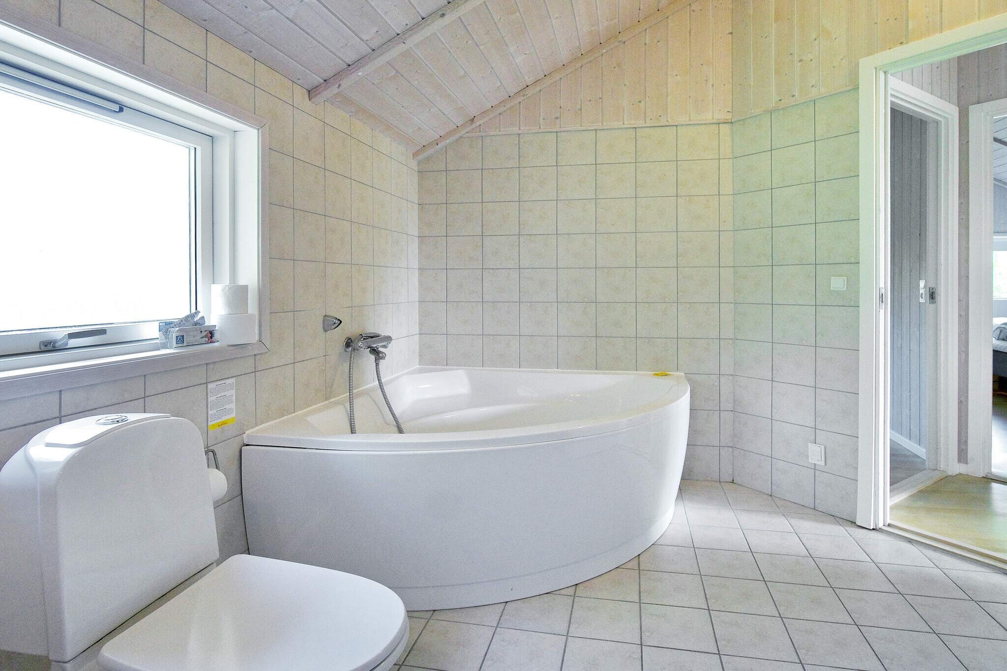 5 Sterne Ferienhaus in Asnæs-By Traum