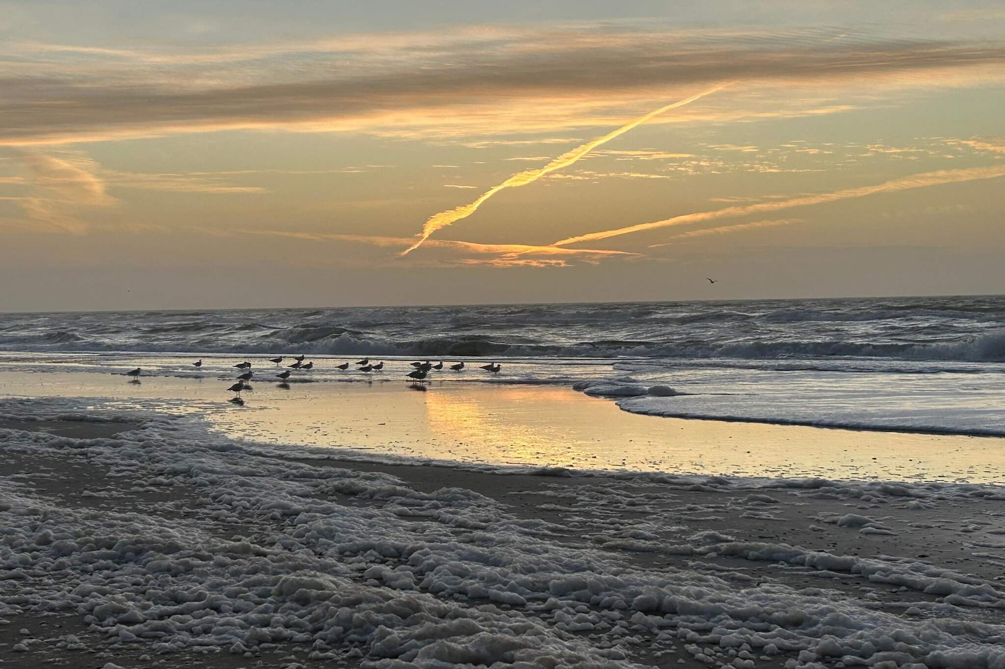 Ruim toevluchtsoord voor 20 -- By Traum Ferienwohnungen-Waterzicht