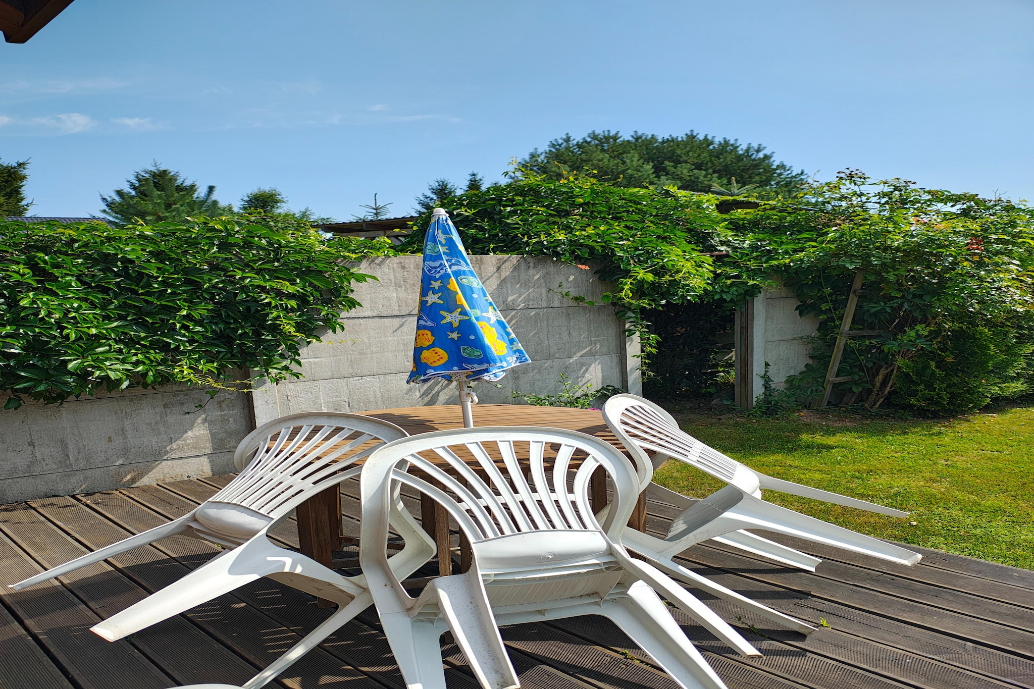 Dom wakacyjny dla miłośników przyrody-Terrassenbalkon