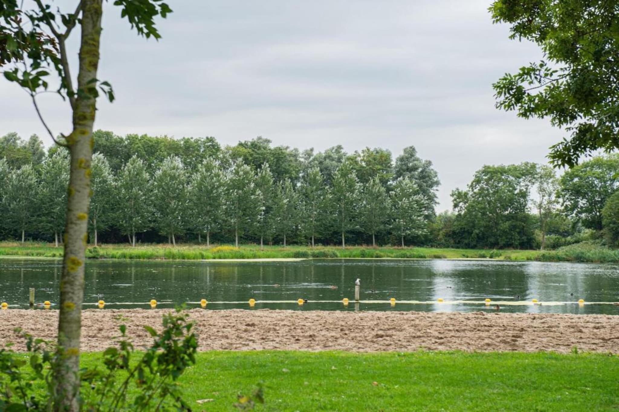 Kuifduiker 7A-Gebieden zomer 20km