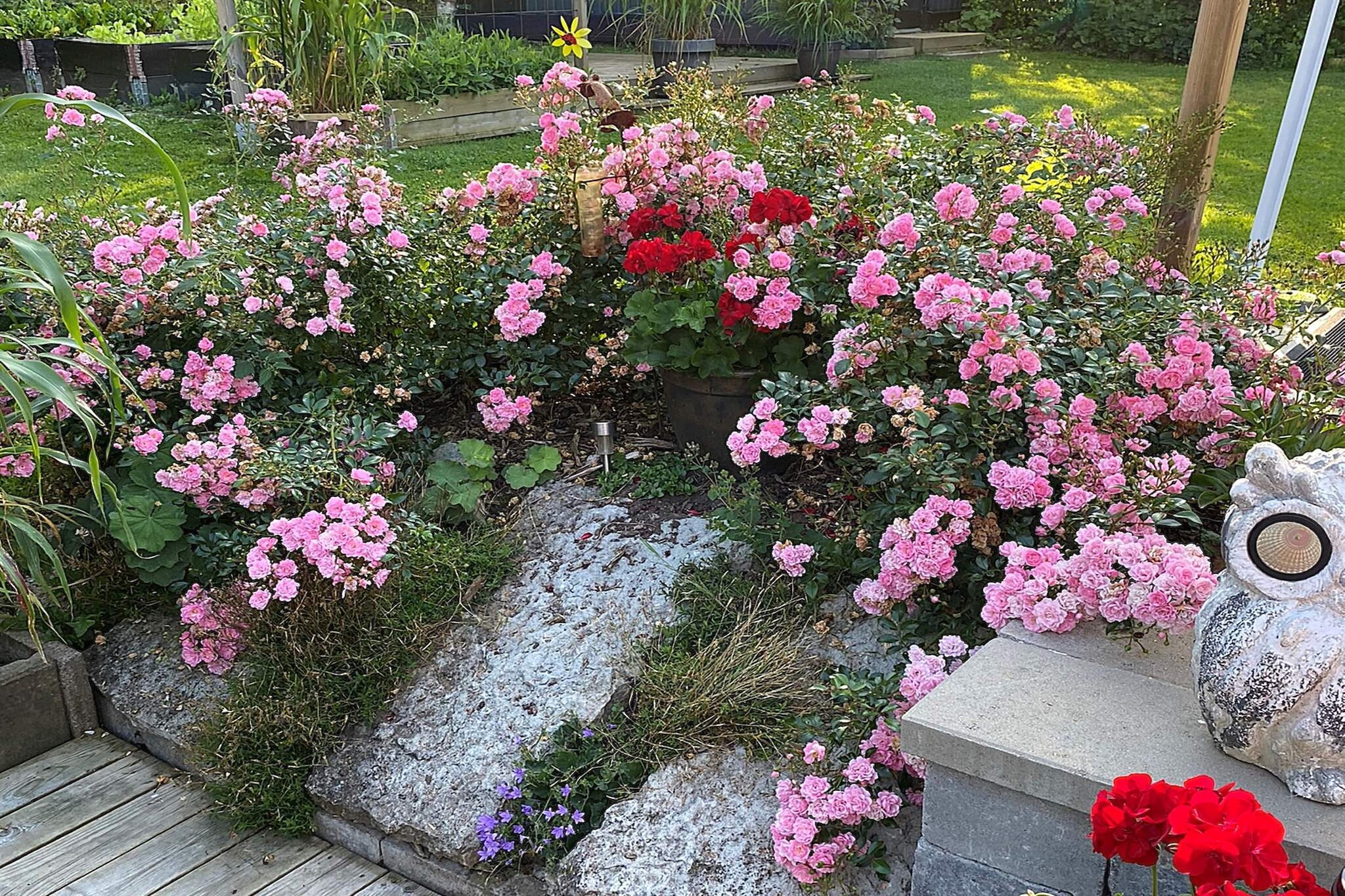 6 Personen Ferienhaus in HÄLLEKIS-Im Freien