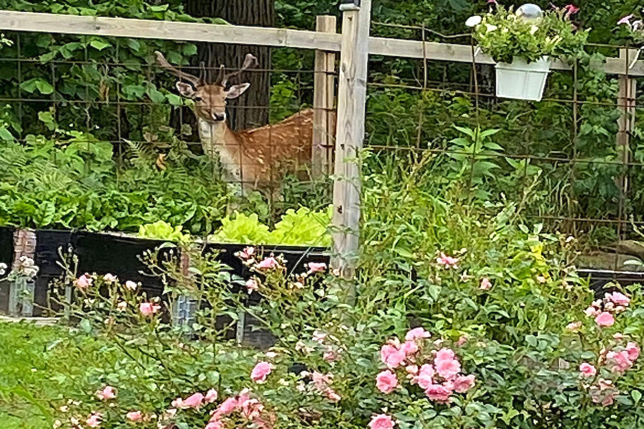 6 Personen Ferienhaus in HÄLLEKIS-Im Freien