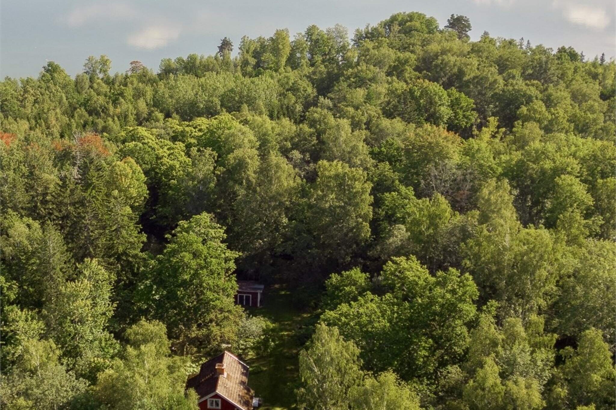 Kitchen(cooker(electric), hood, coffee machine, oven, microwave, dishwasher, fridge-freezer), Living/bed room, bedroom(double bed), bedroom(2x bunk bed), bathroom(washbasin, shower, toilet), heating(electric), garden, garden furniture