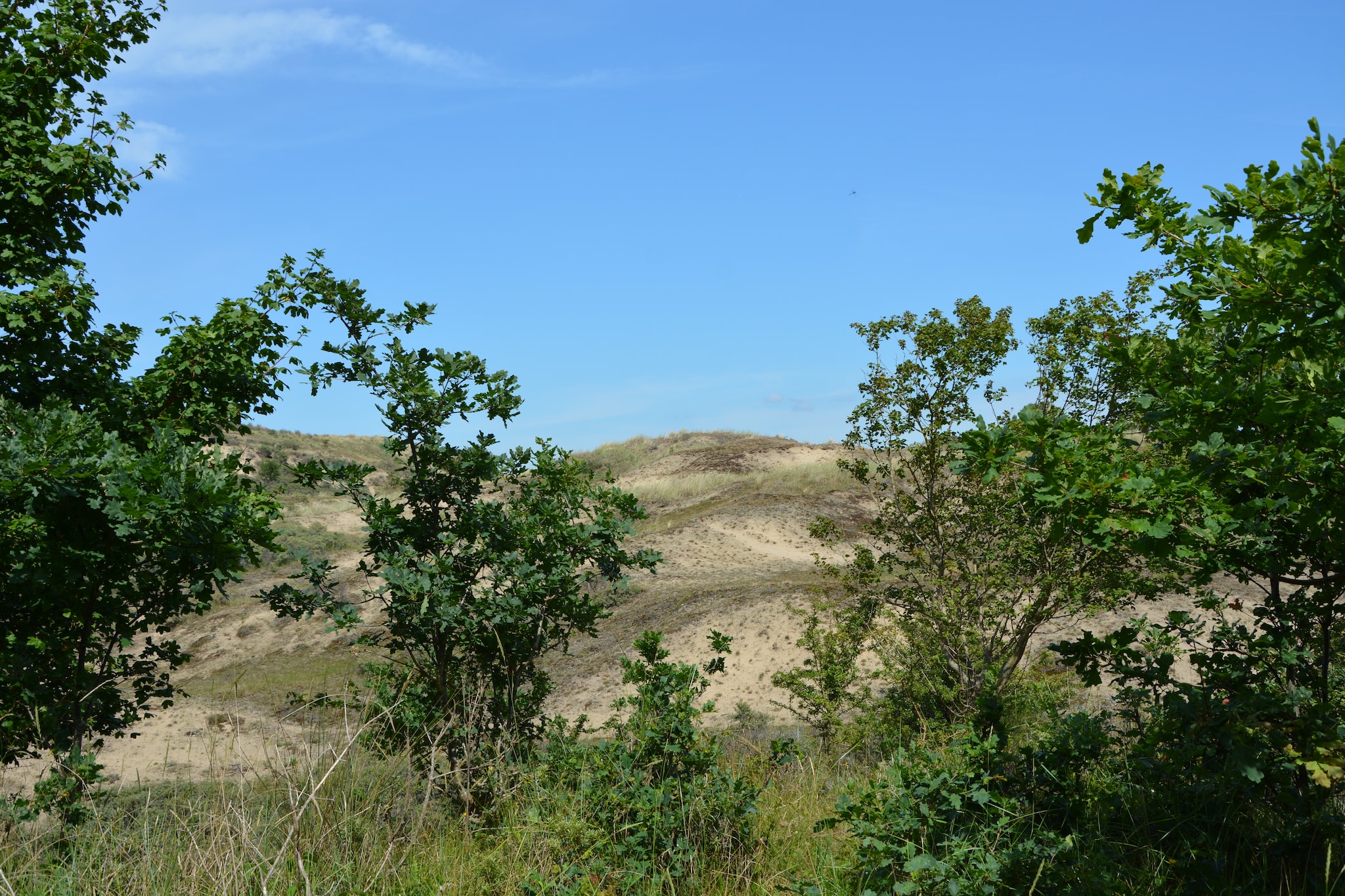 Casa Duna - Gebieden zomer 5km