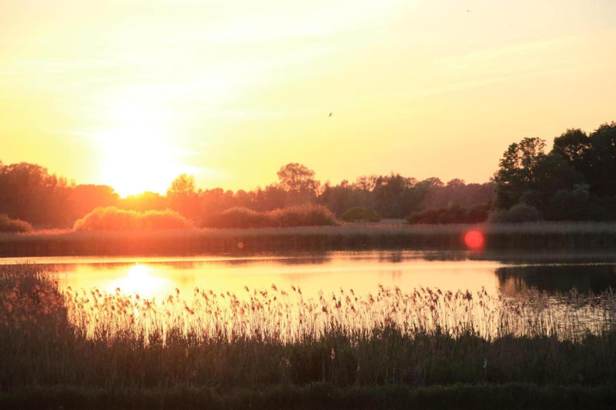 Mobilheim am Goldberger See-Gebiete Sommer 20 km