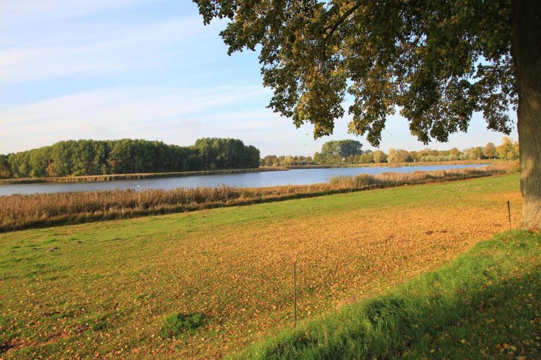 Mobilheim am Goldberger See-Gebiete Sommer 20 km