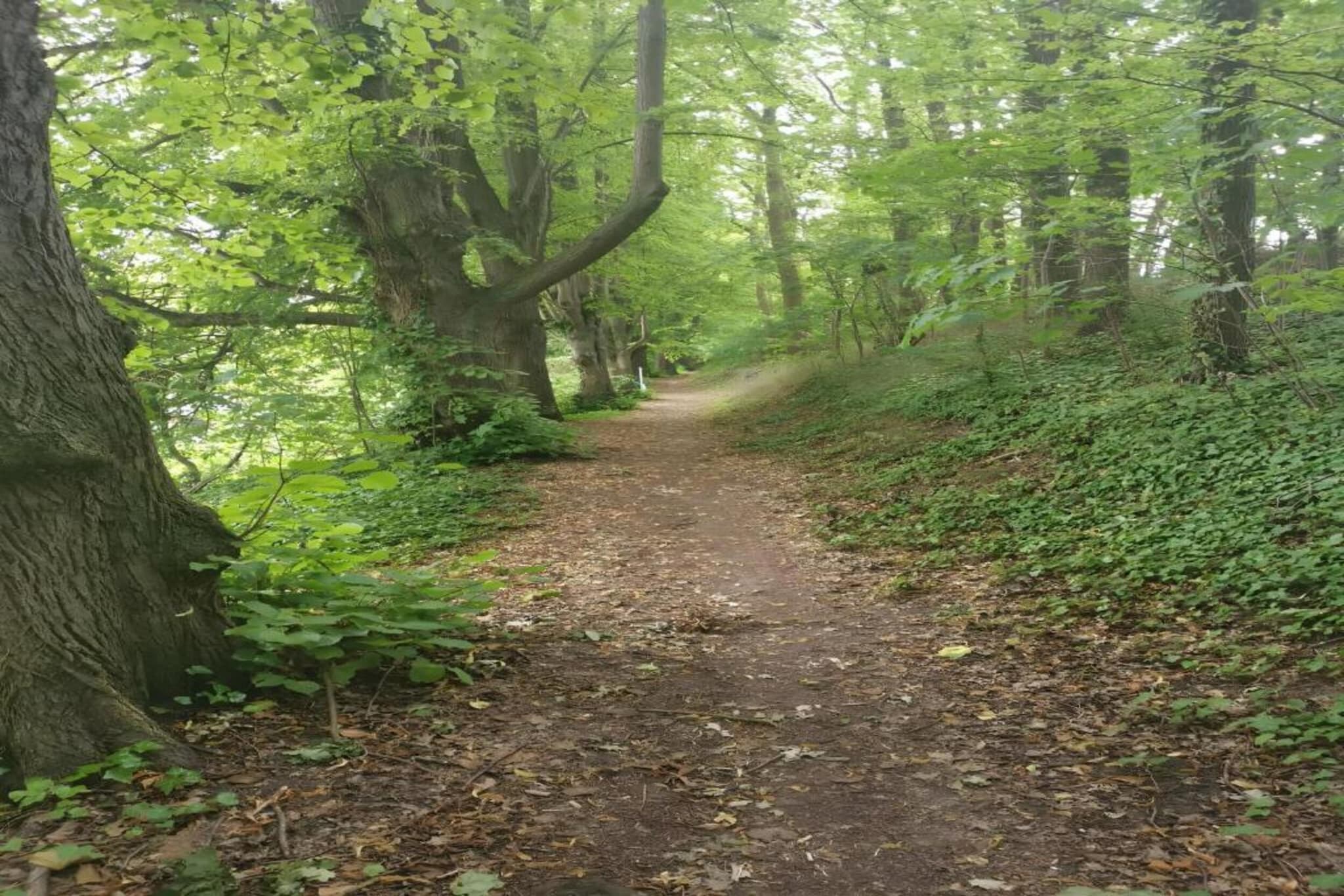 Mobilheim am Goldberger See-Gebiete Sommer 20 km