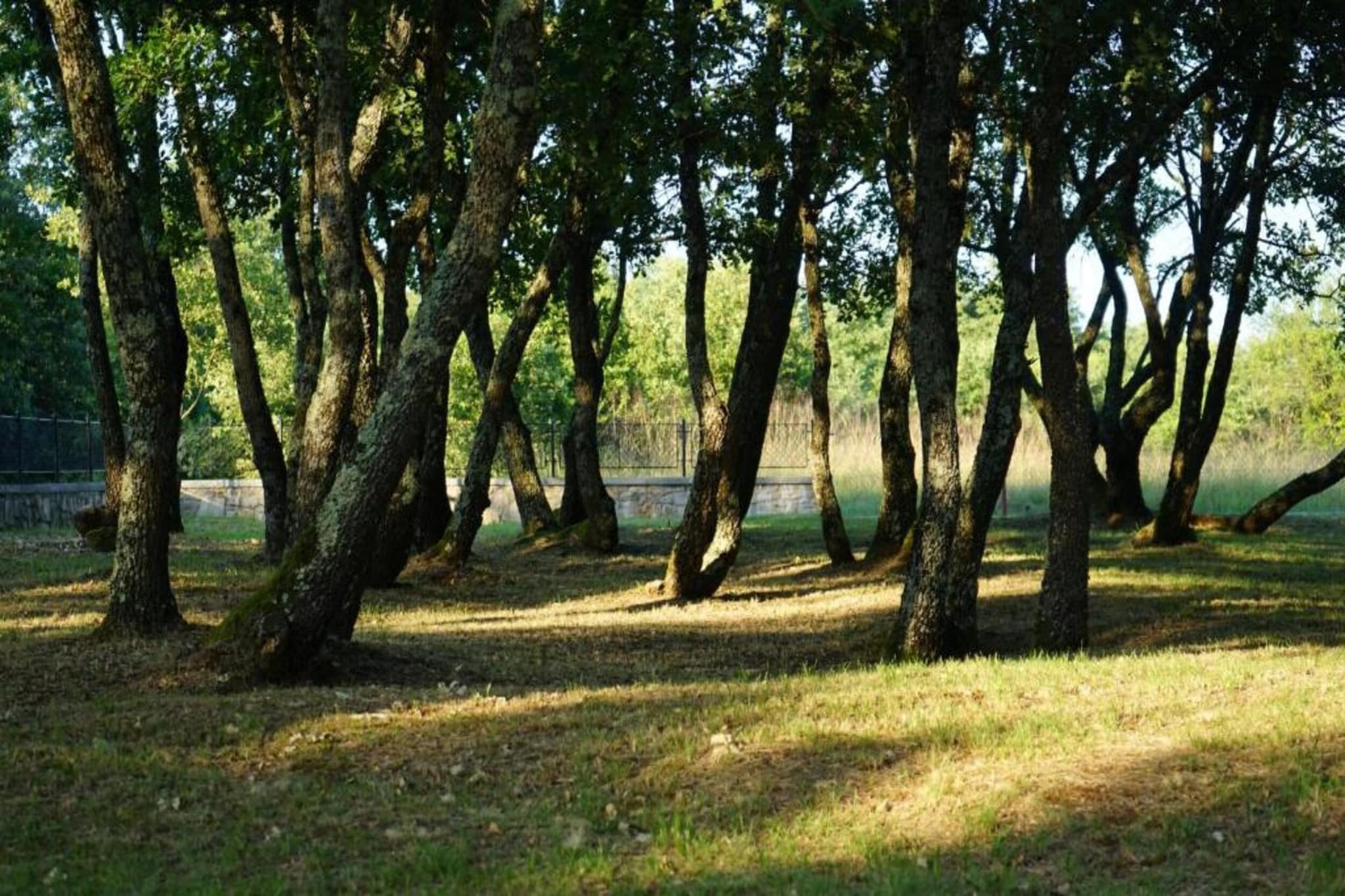 Villa Cristian-Image-tags.