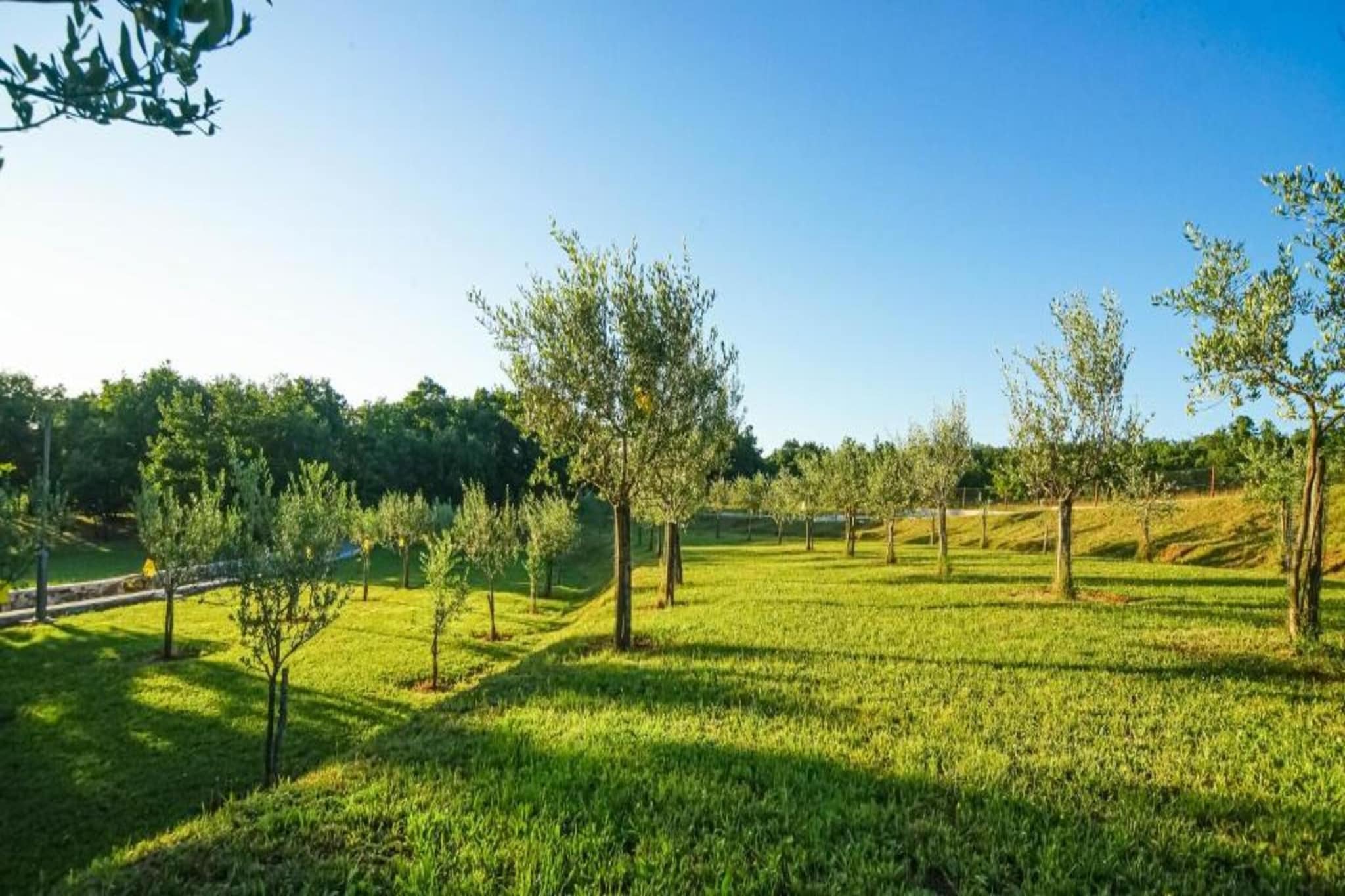 Villa Cristian-Image-tags.