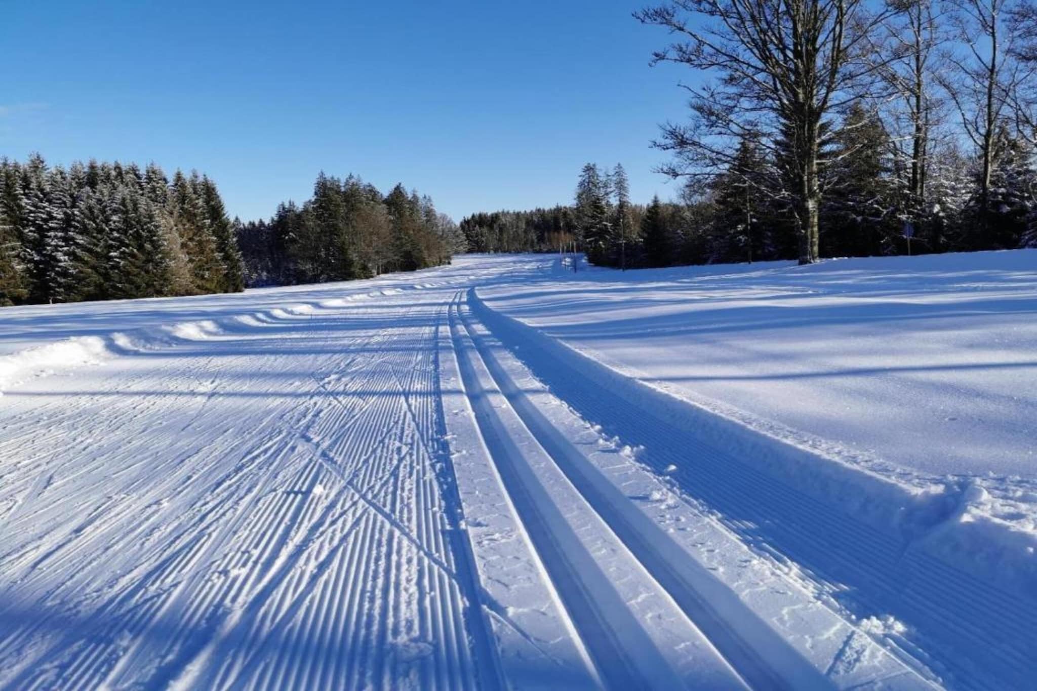 Appartement Sandra Typ B Komfort-Area winter 5km