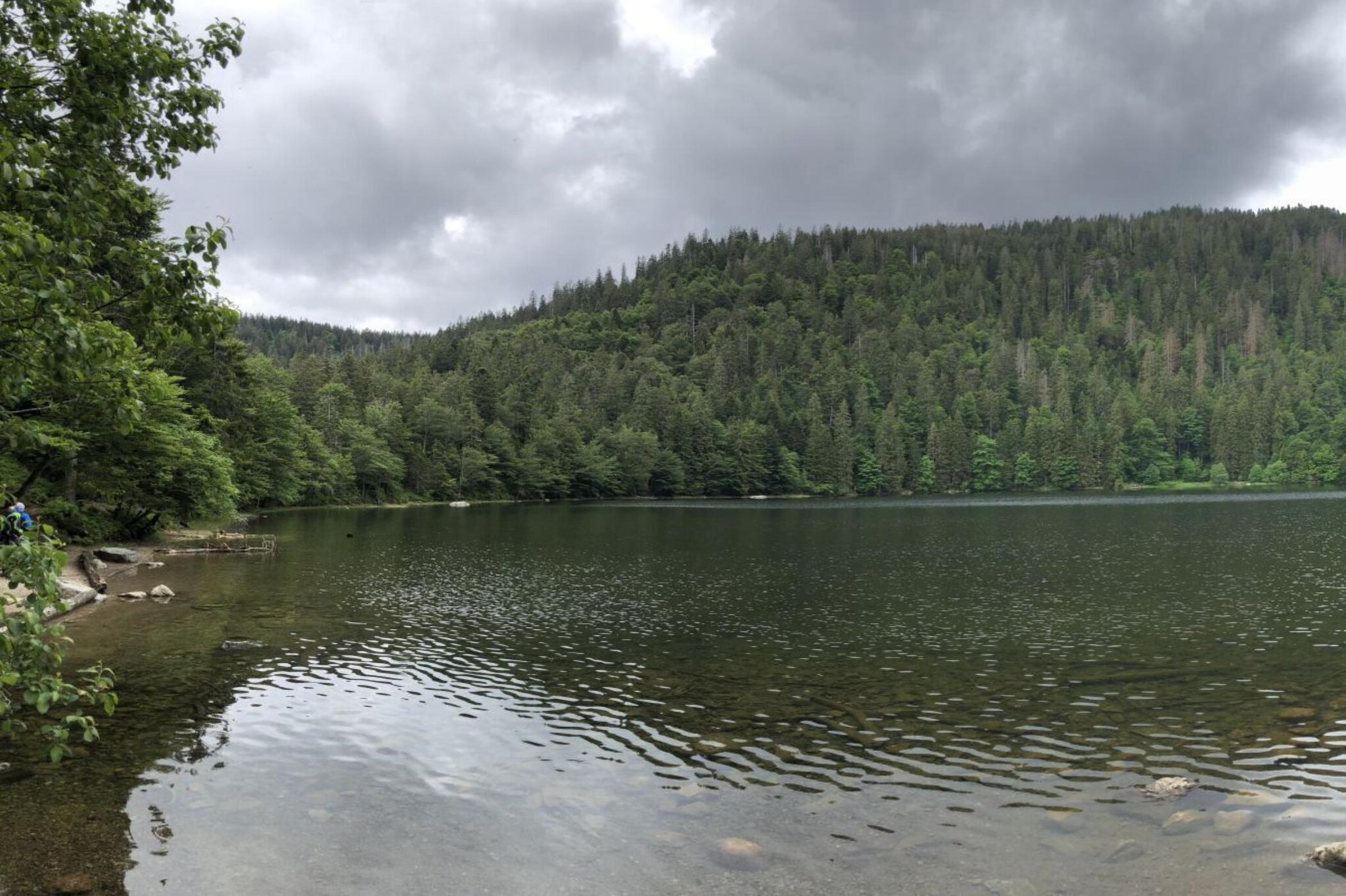 116032-Gebiete Sommer 1 km