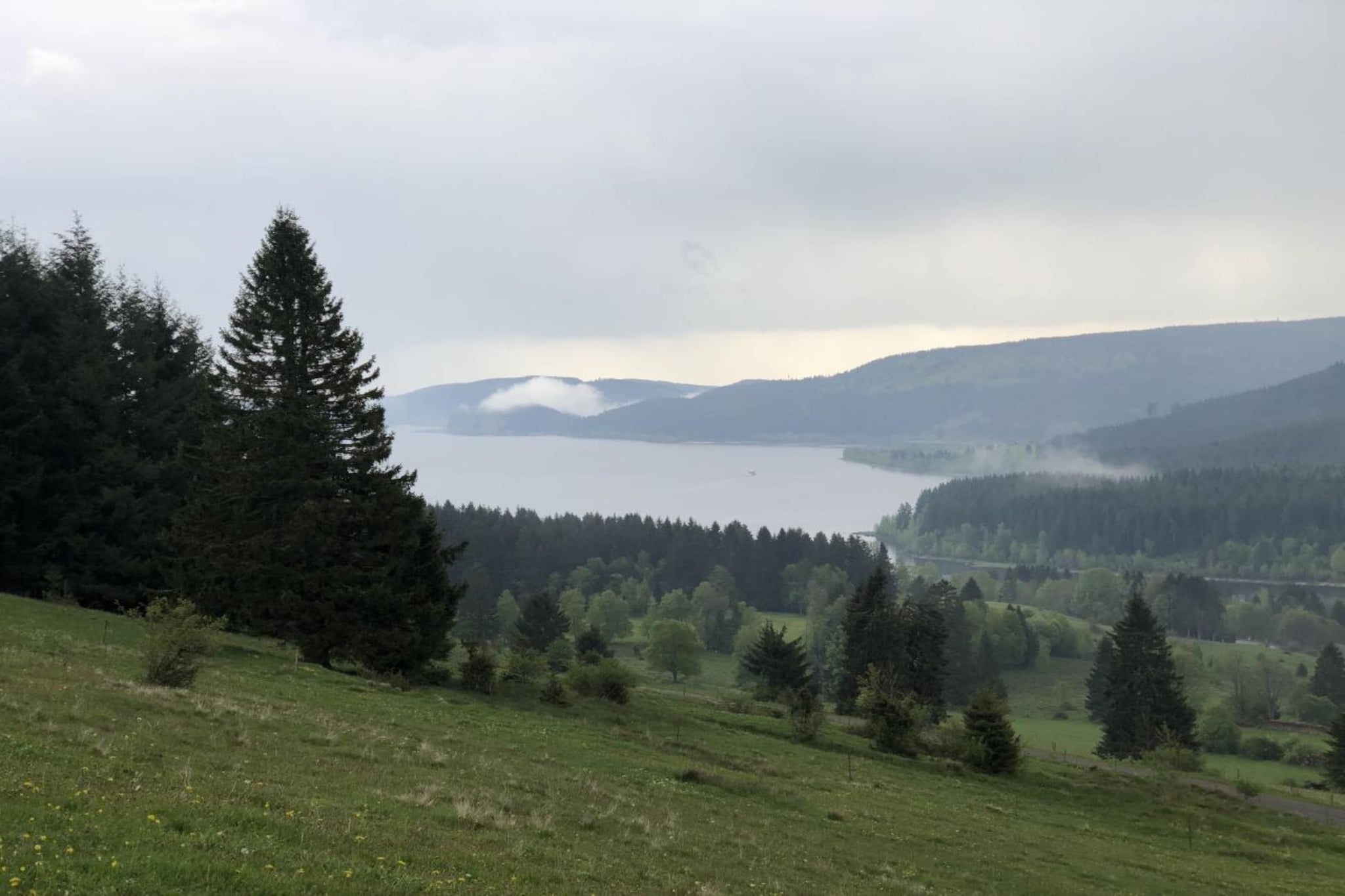 116032-Gebiete Sommer 1 km