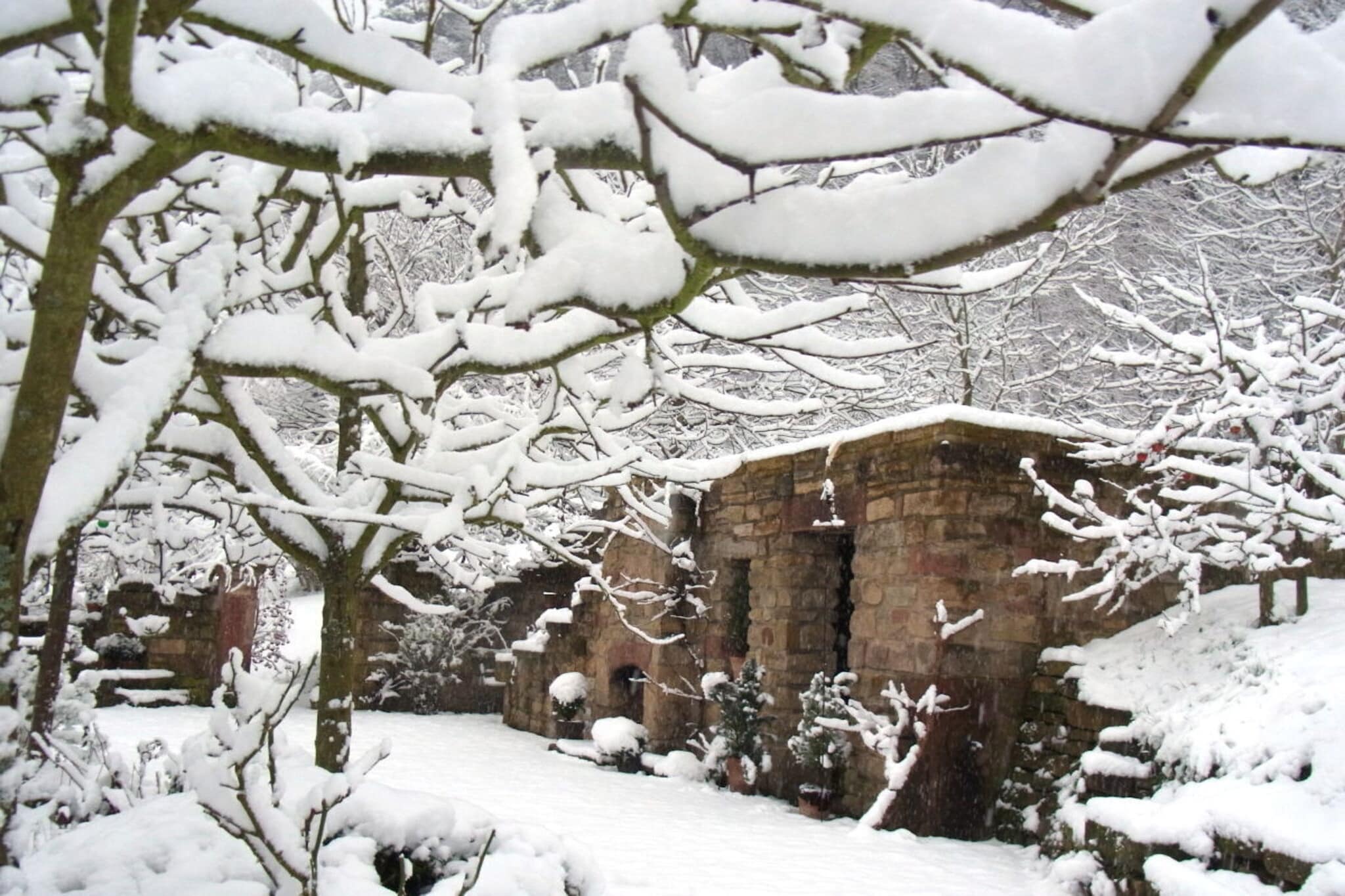 96751-Tuin winter