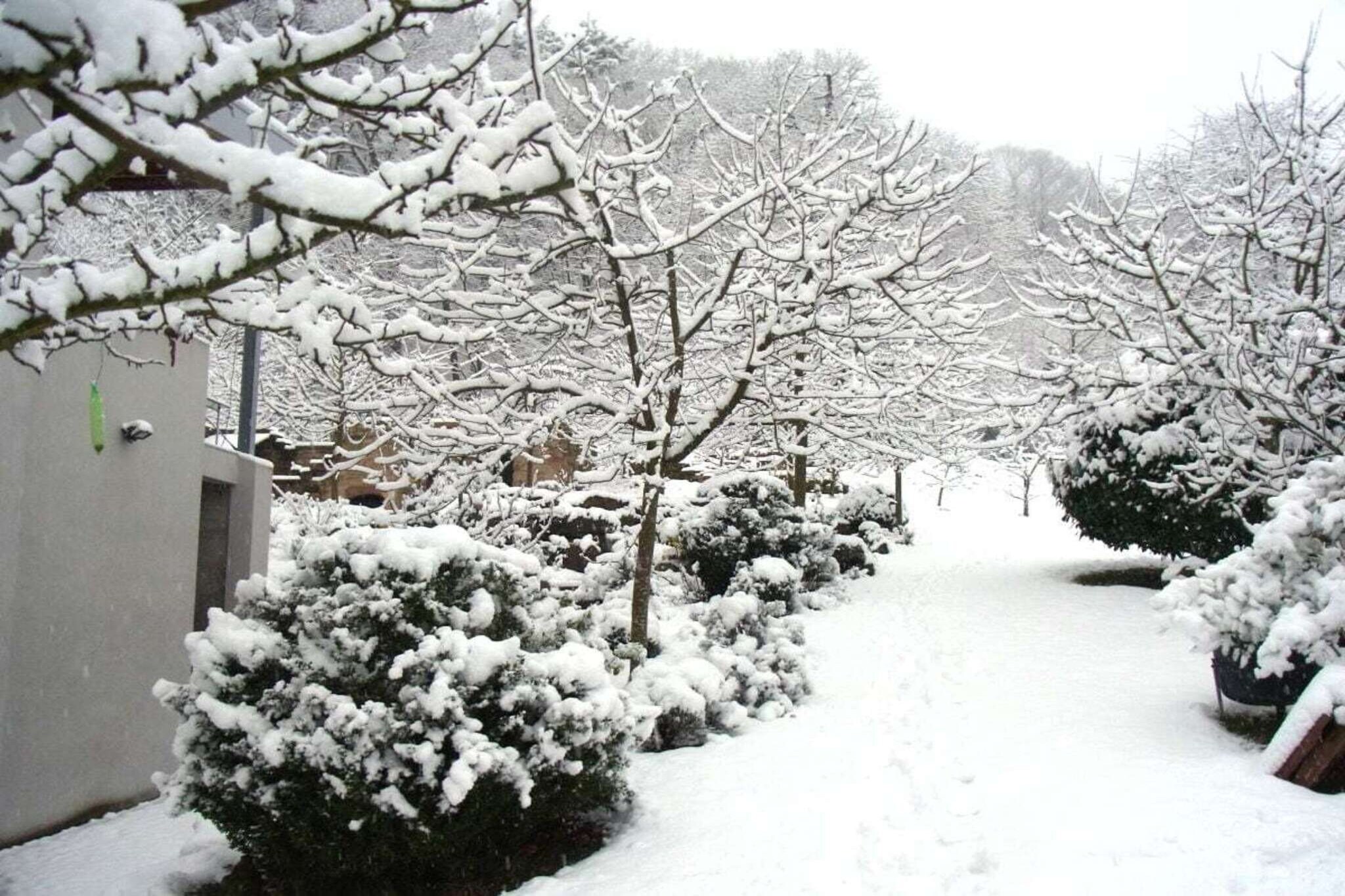 96751-Tuin winter