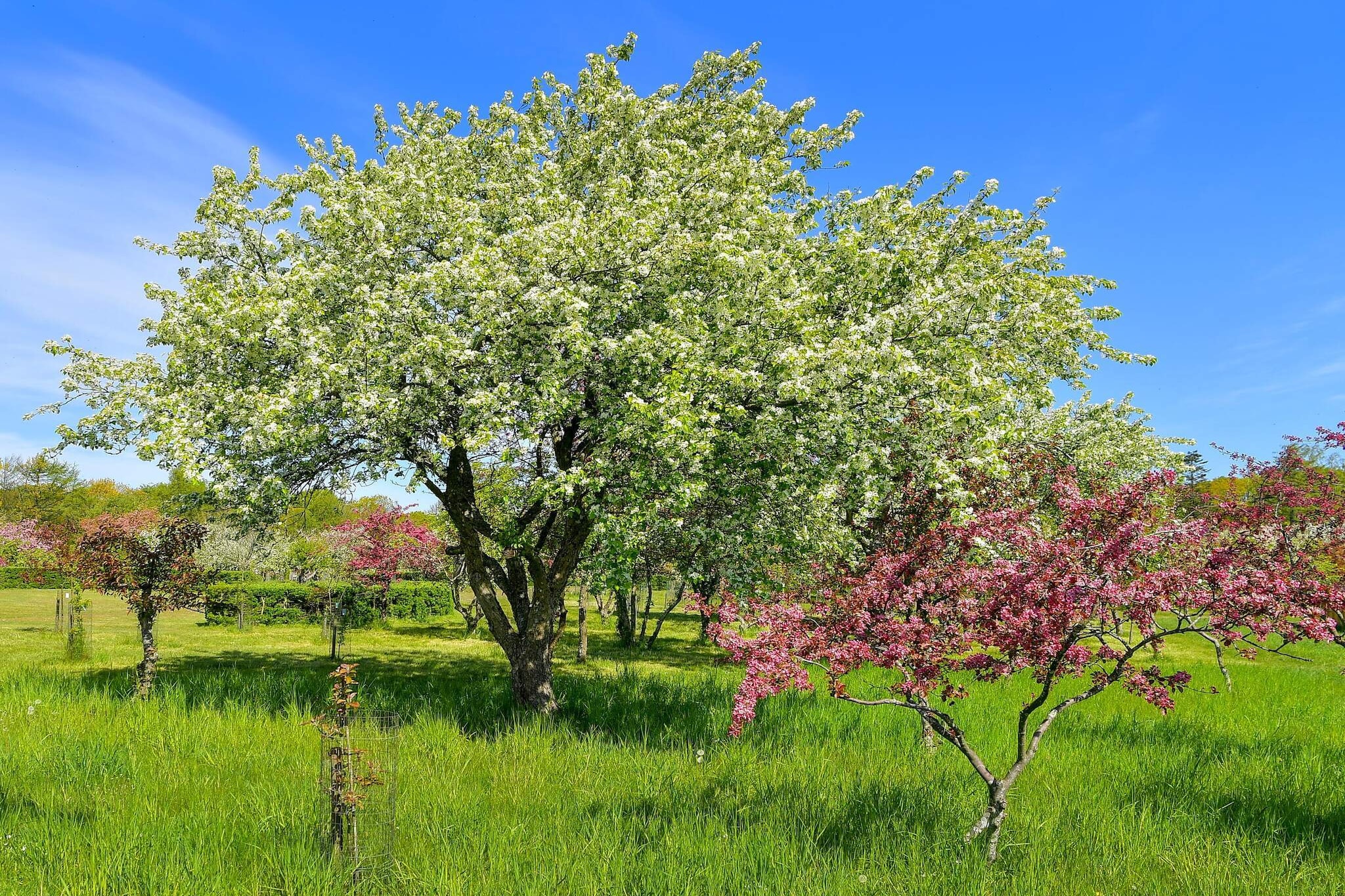 5 sterren vakantie huis in Frederikshavn-By Traum-Niet-getagd