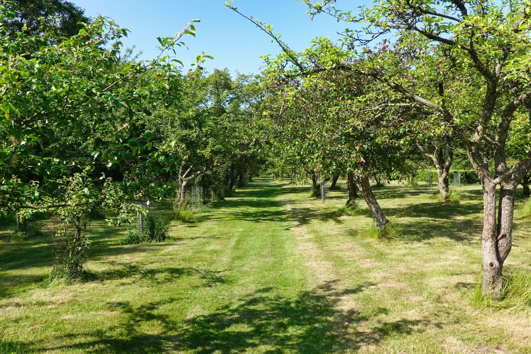5 sterren vakantie huis in Frederikshavn-By Traum-Niet-getagd