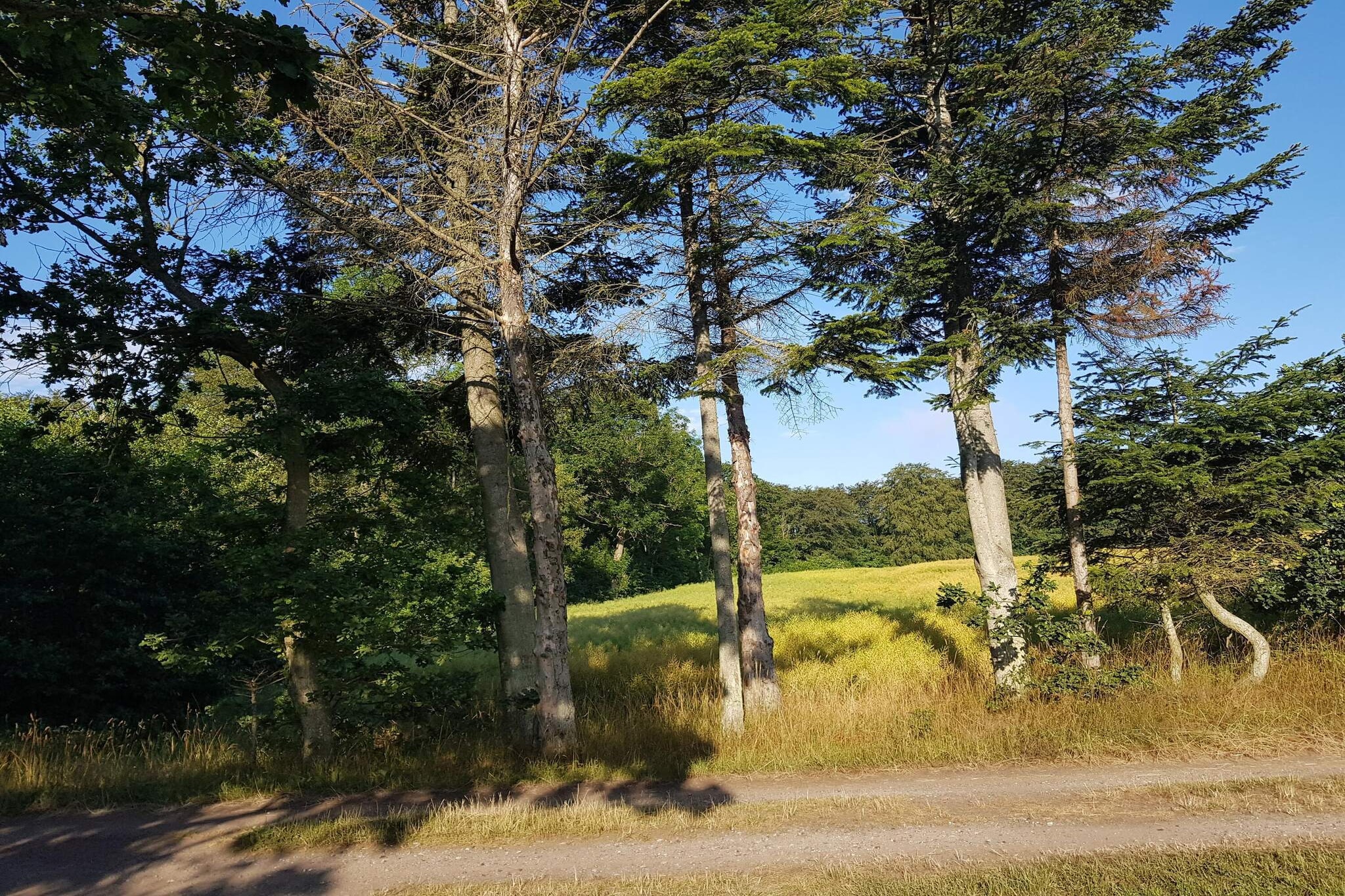 5 sterren vakantie huis in Frederikshavn-By Traum-Niet-getagd