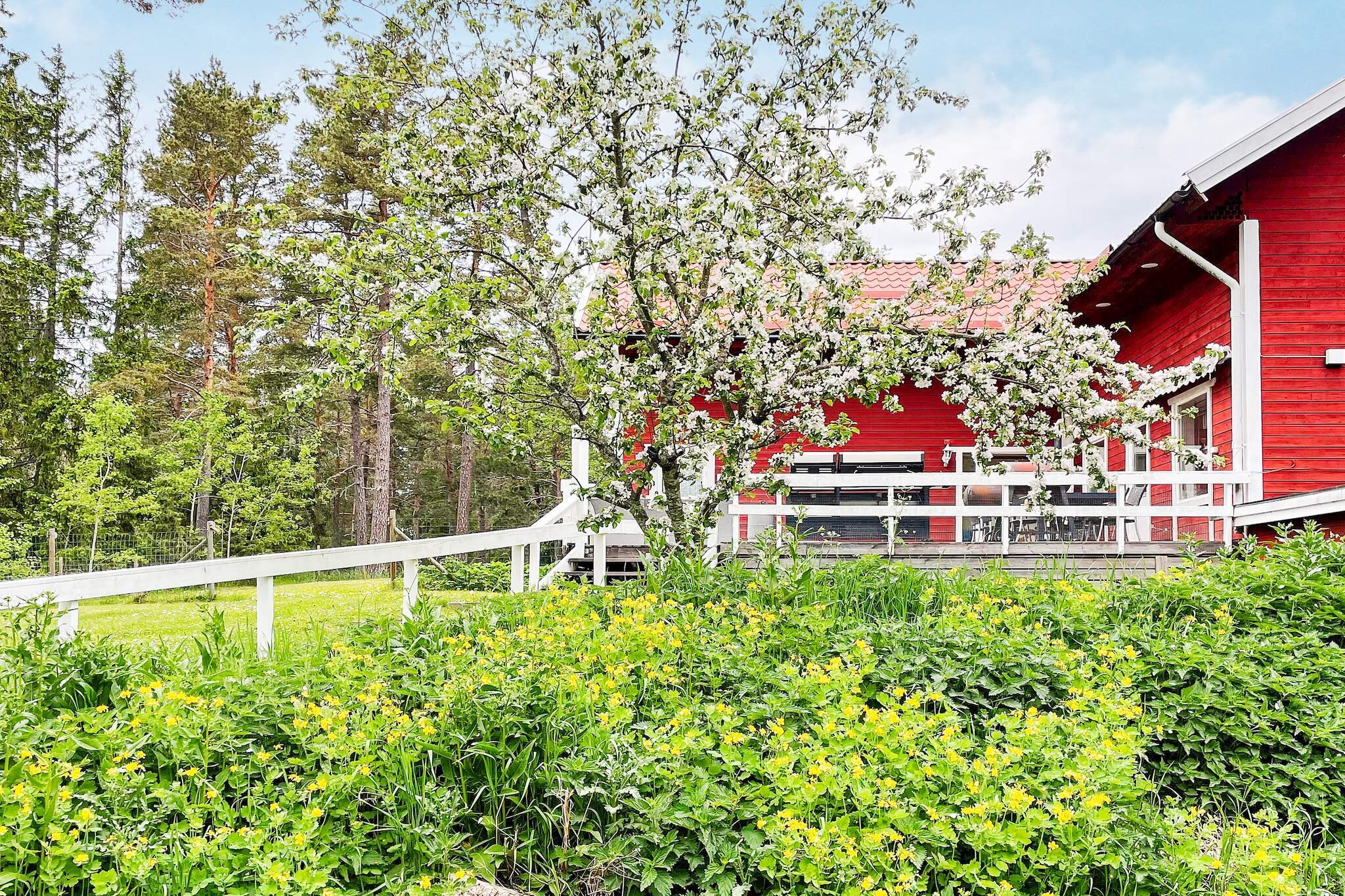 4 sterren vakantie huis in VÄDDÖ-By Traum - Buitenlucht