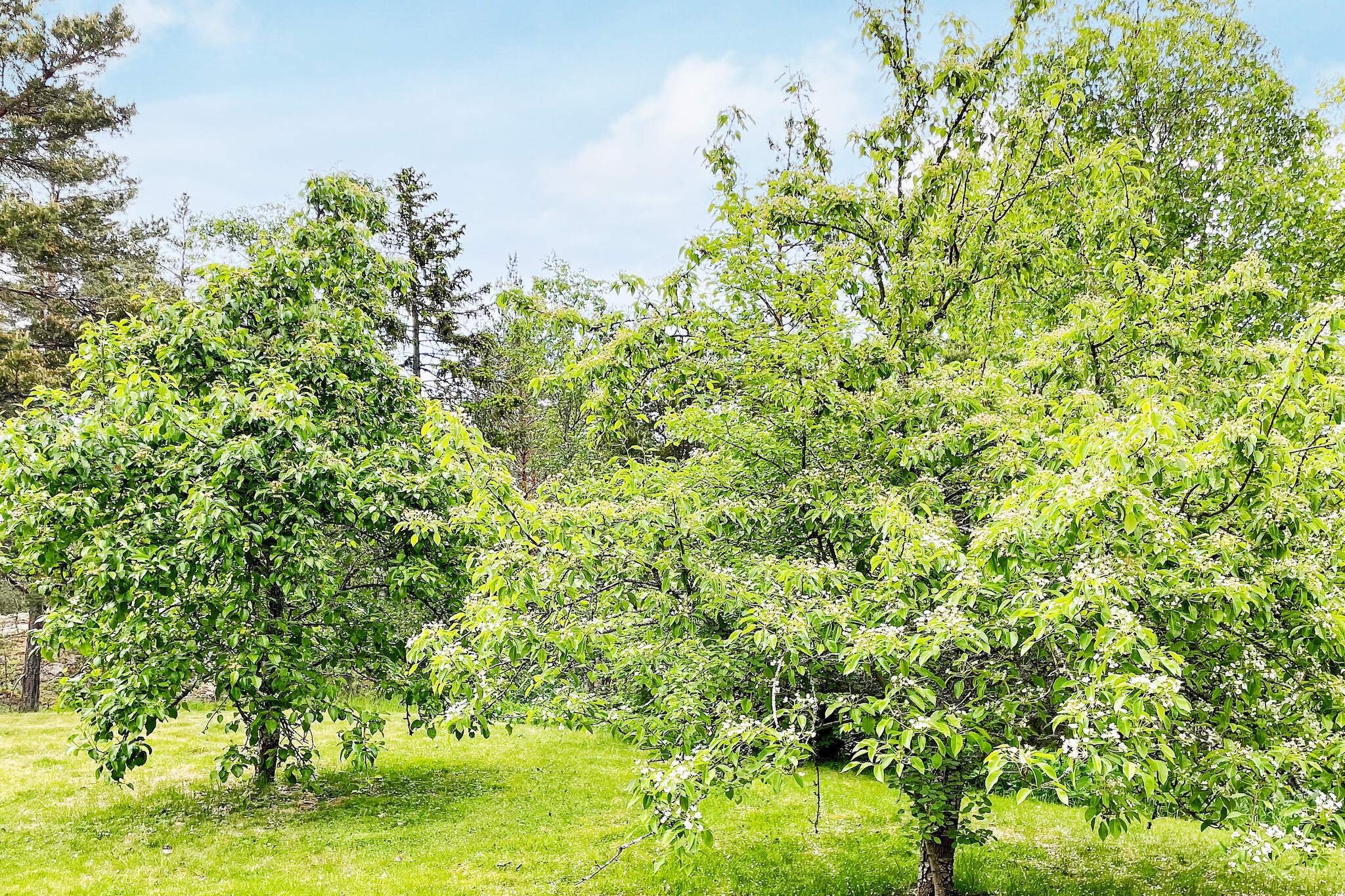 4 sterren vakantie huis in VÄDDÖ-By Traum - Buitenlucht