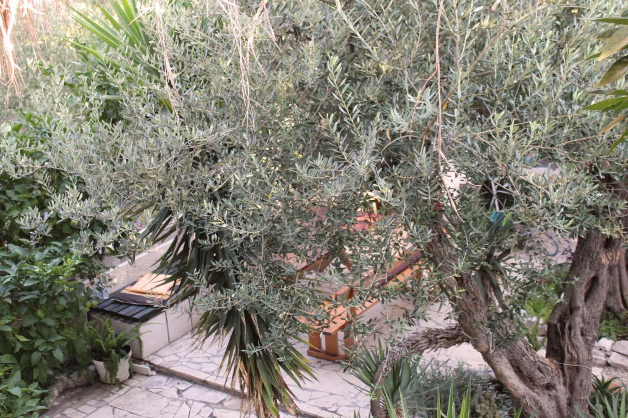 Apartments Antonio - One Bedroom Apartment with Terrace (Apartment C)-Outdoor