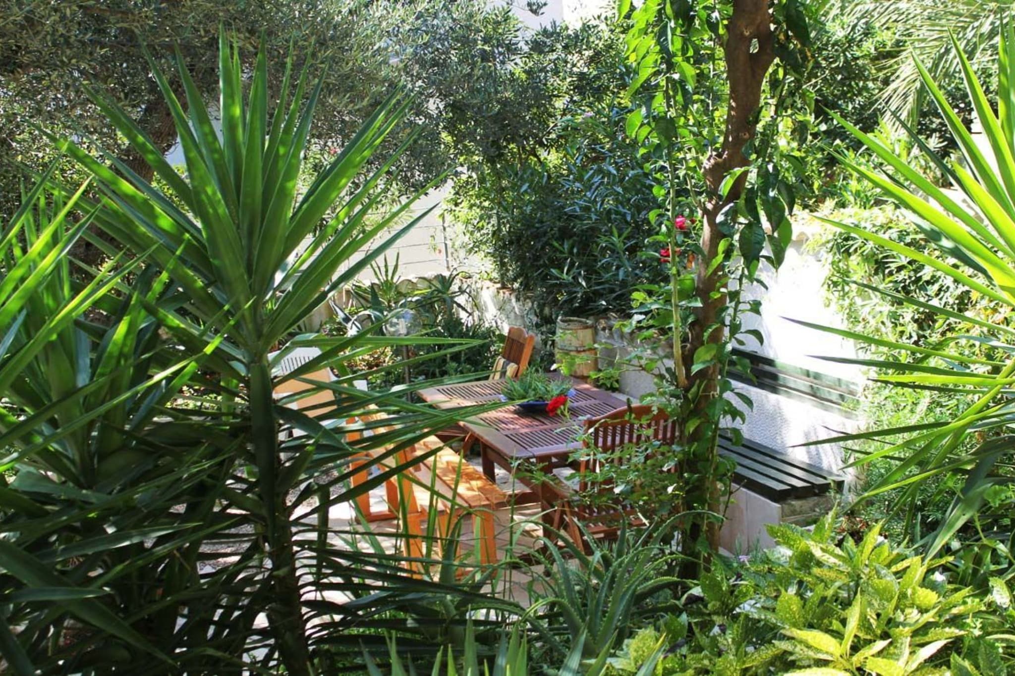 Apartments Antonio - One Bedroom Apartment with Terrace (Apartment C)-Outdoor