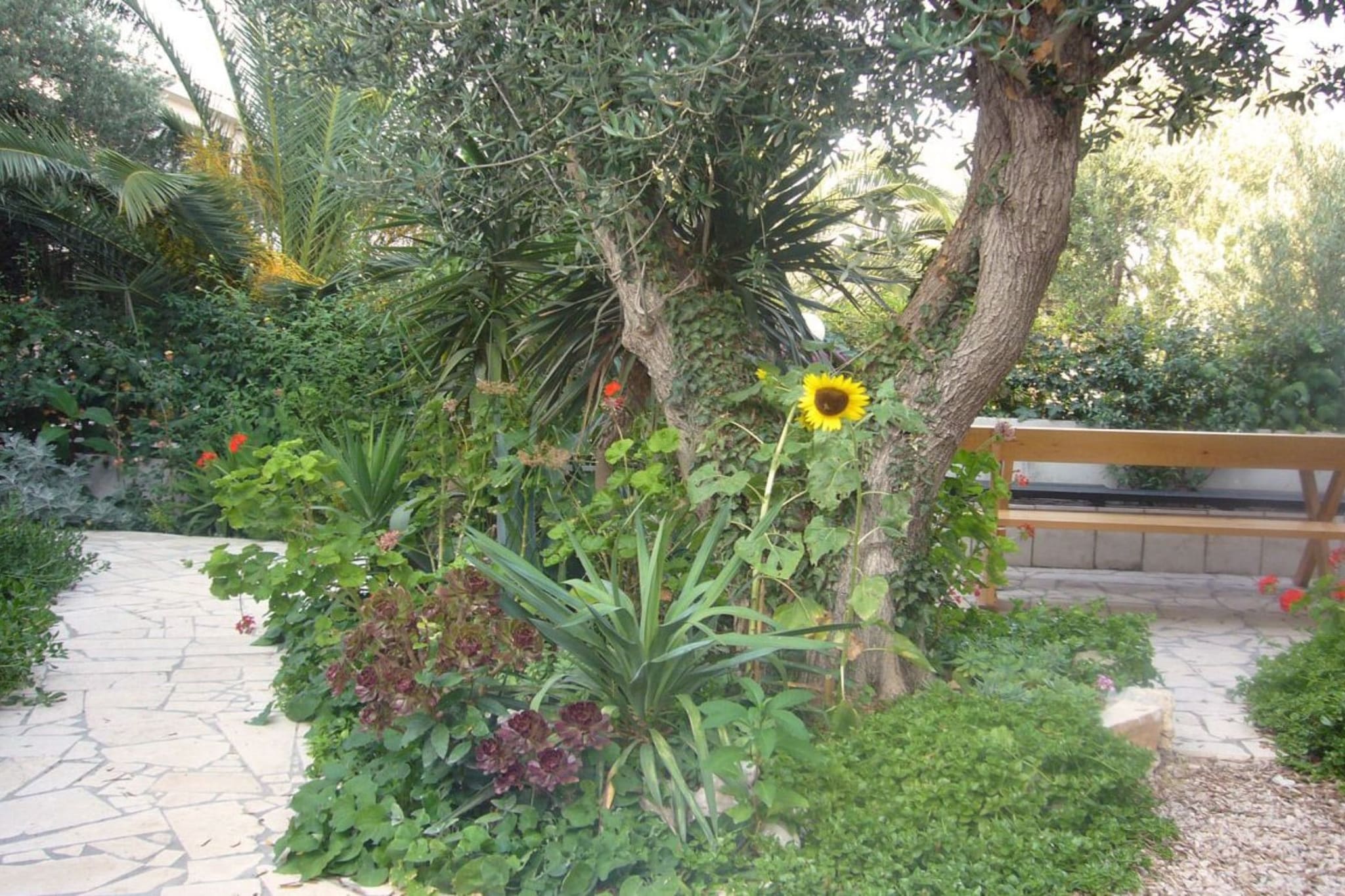 Apartments Antonio - One Bedroom Apartment with Terrace (Apartment C)-Outdoor